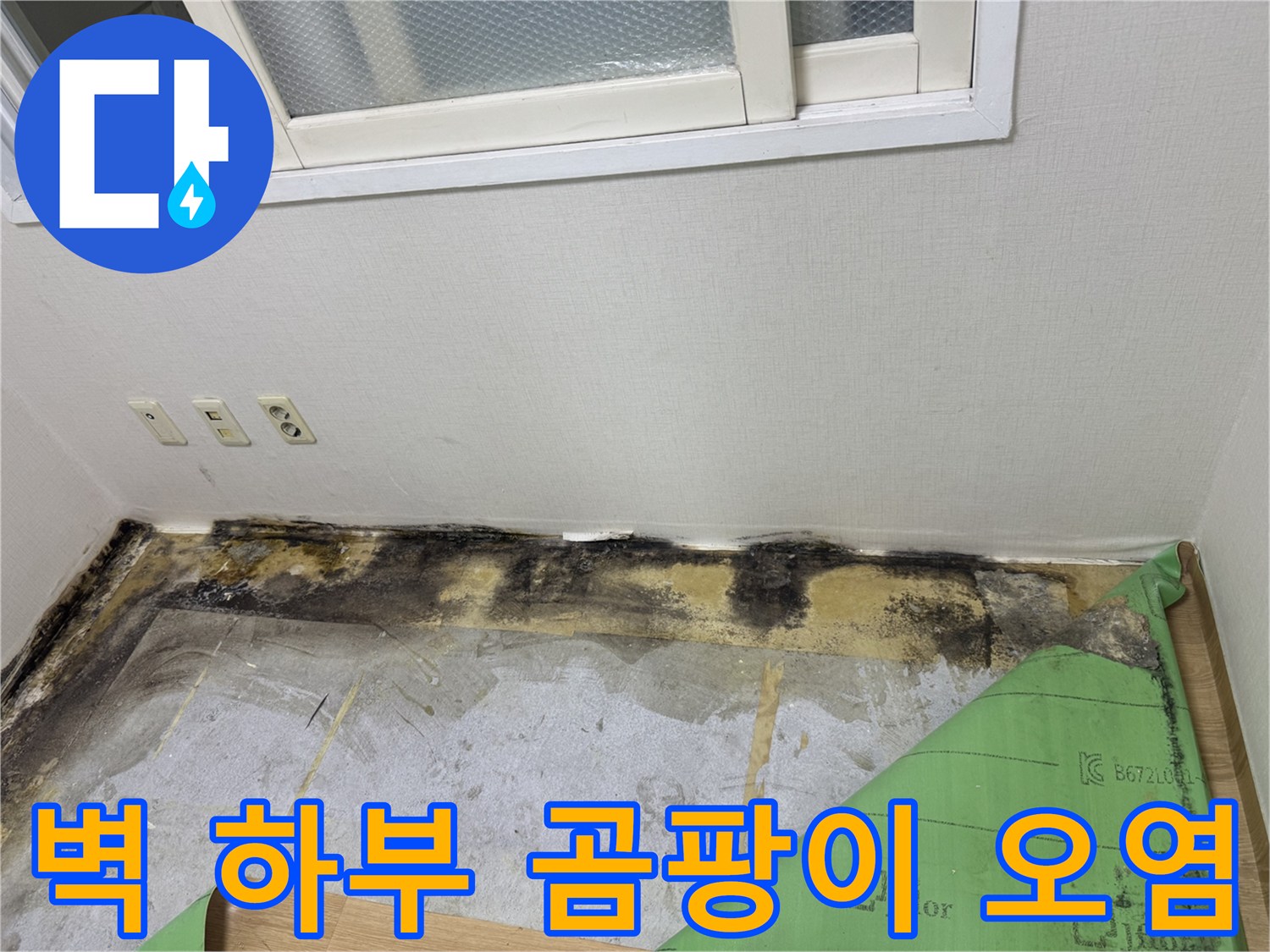 창가 아래 벽체 부분-습기에 의한 곰팡이 발생 현장