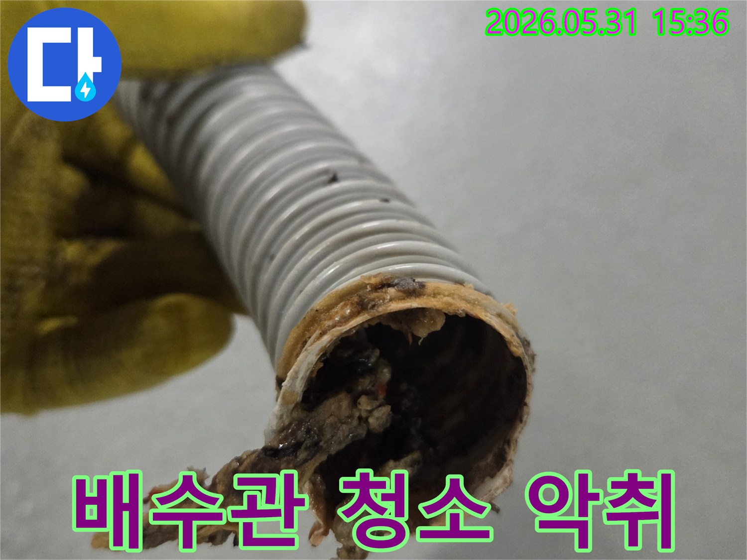 노란색 장갑을 낀 손이-악취 제거를 위해-청소 전 오염된 배수관을 보여줍니다.