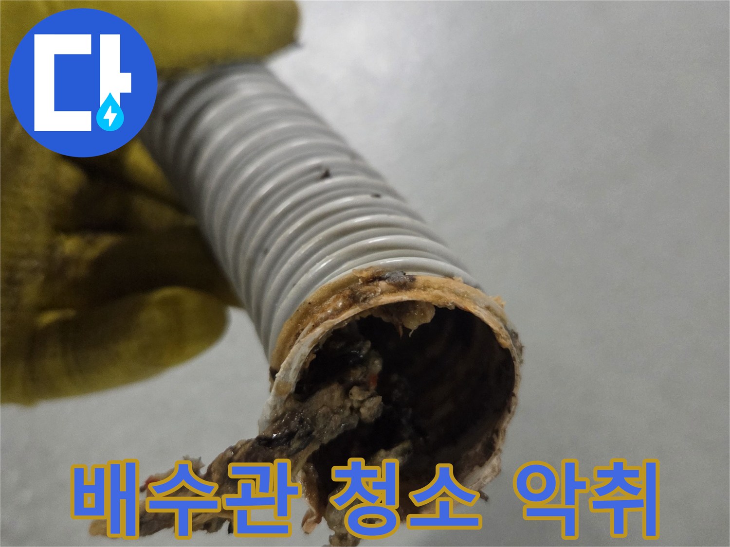 노란색 장갑을 낀 손이-악취 제거를 위해-청소 전 오염된 배수관을 보여줍니다.