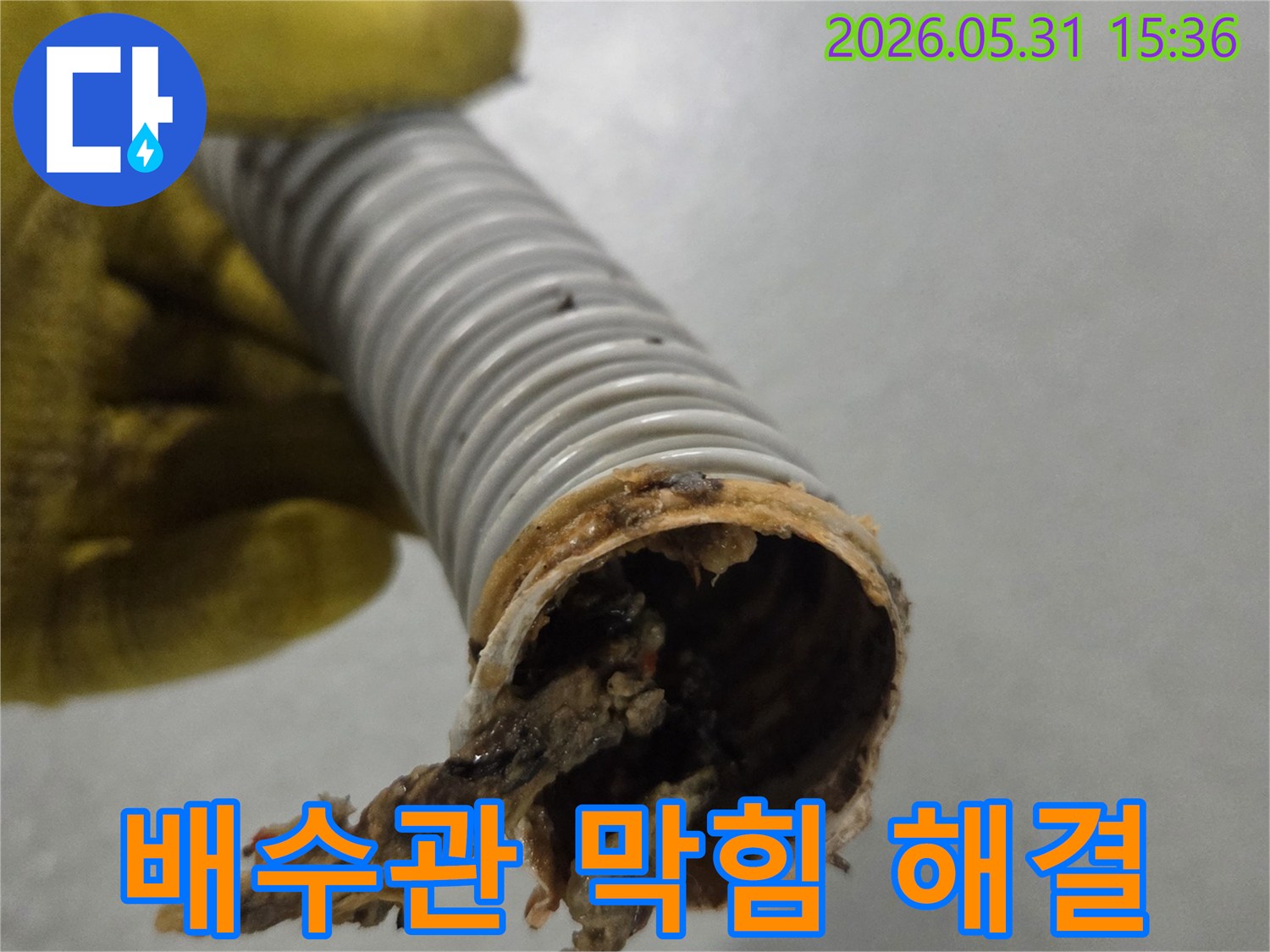 노란색 장갑을 낀 손이-오염된 배수관의 단면을-자세히 보여주고 있습니다.