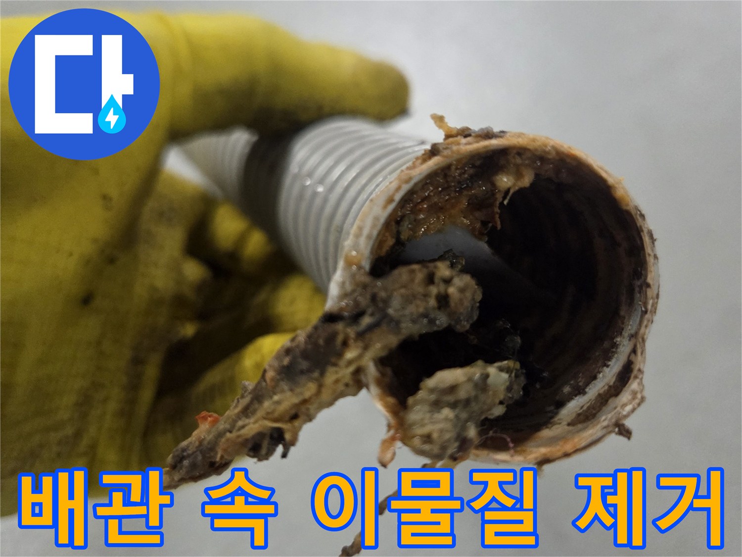 오래된 싱크대 주름 호스-내부에서 발견된-끈적한 음식물 찌꺼기와-기름 슬러지