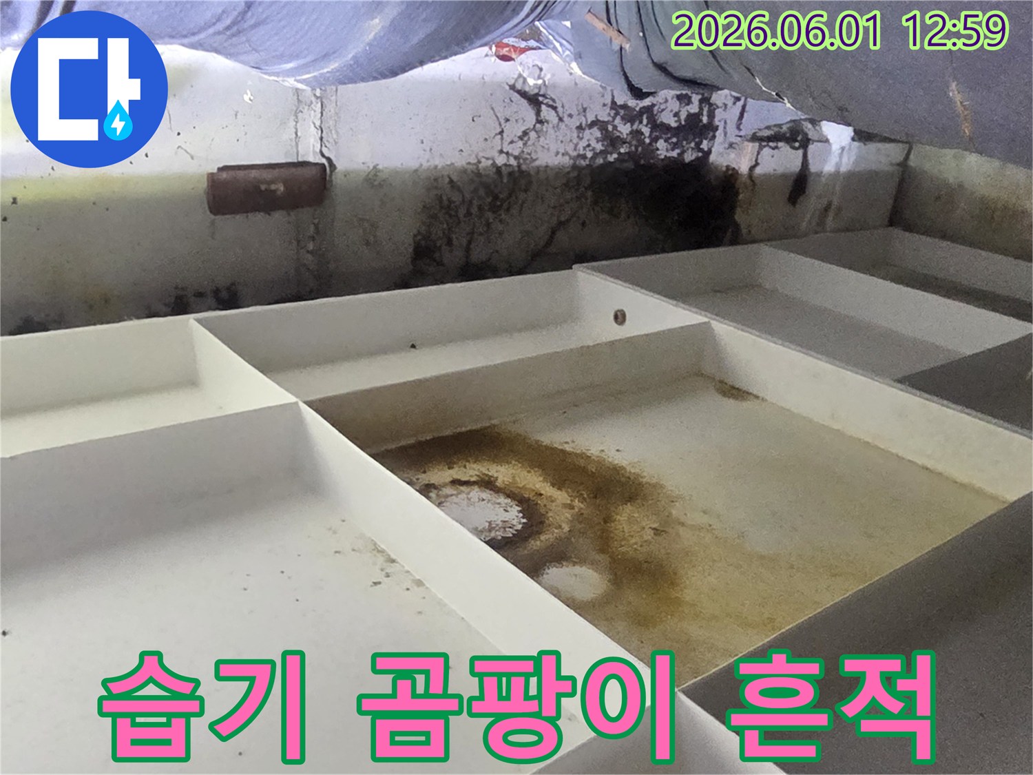 이 사진은-지속적인 습기로 인해-발생한-곰팡이와-오염된-누수 현장의-모습을-담고 있습니다