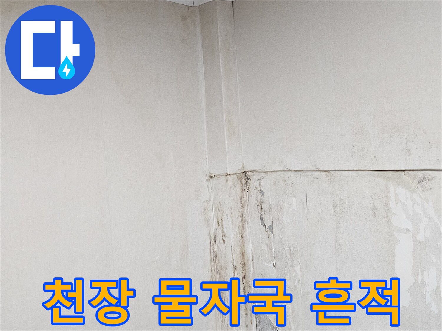 상가 내부 벽체-습기에 의한 마감재 들뜸 현상
