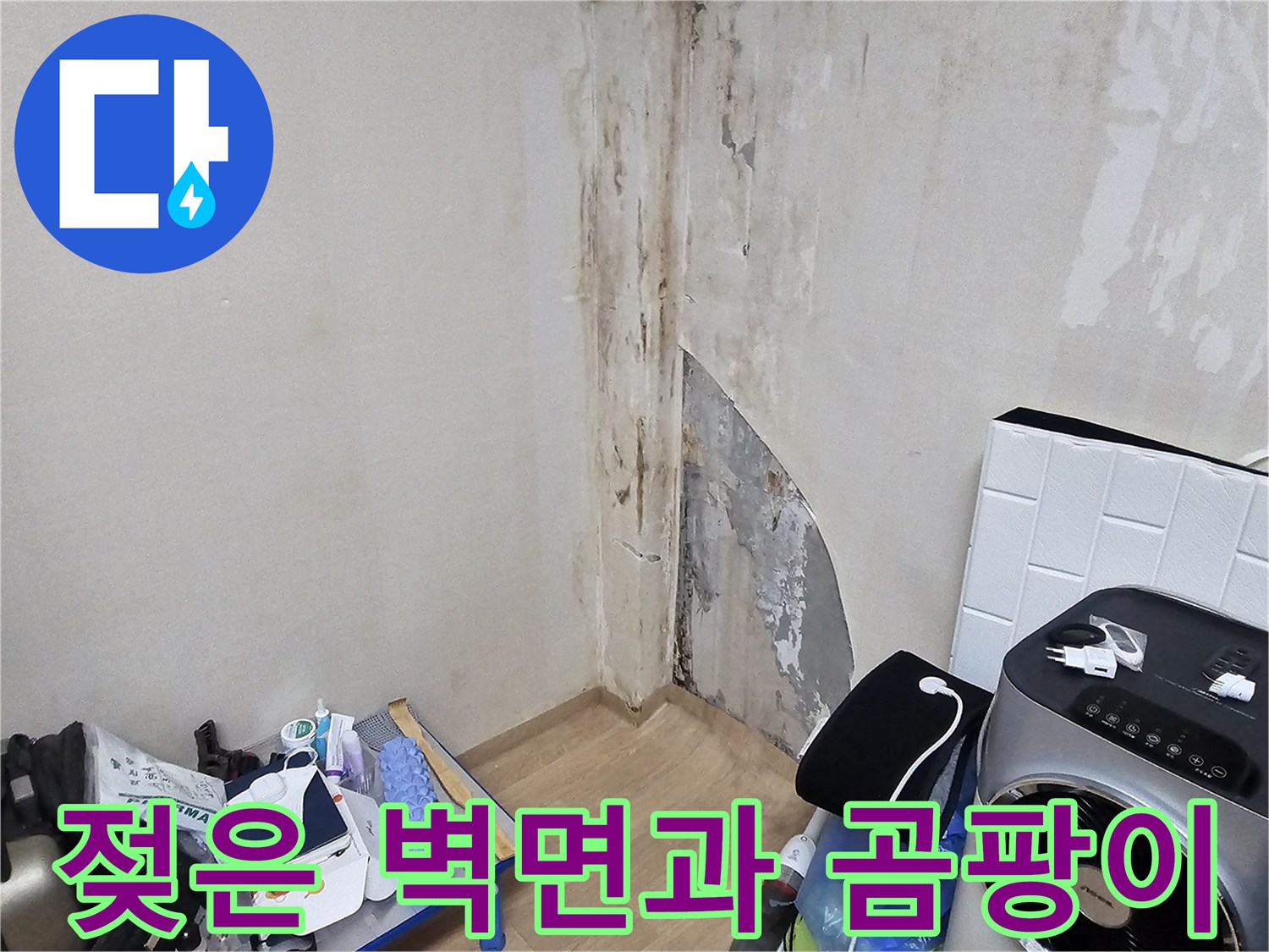 용인 수지 상가 내부-심하게 젖고 곰팡이가 발생한 벽면 모습