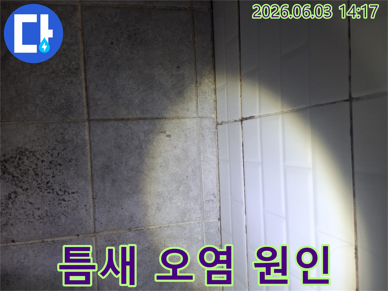 아파트-욕실-타일-틈새의-심한-오염과-그로-인한-누수-원인을-파악하기-위해-조사하는-현장-사진입니다