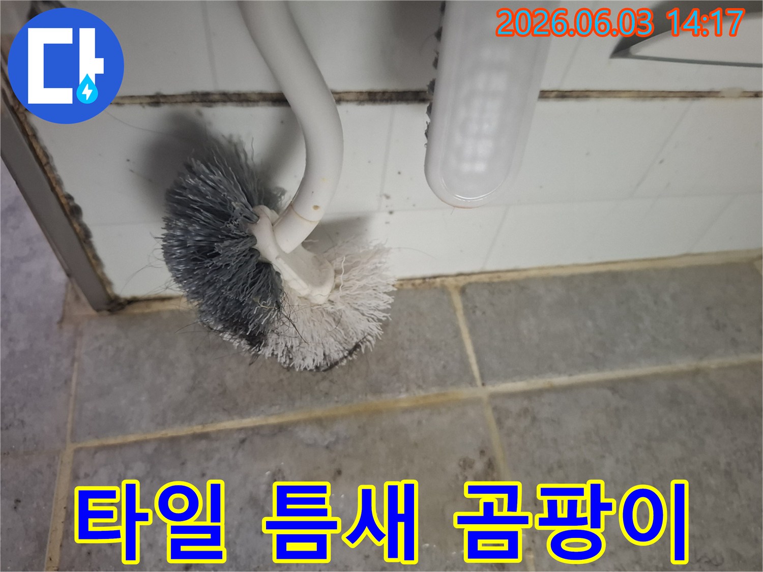 욕실 타일-줄눈에 번진-검은 곰팡이와-오염된 상태를-보여주는 이미지입니다