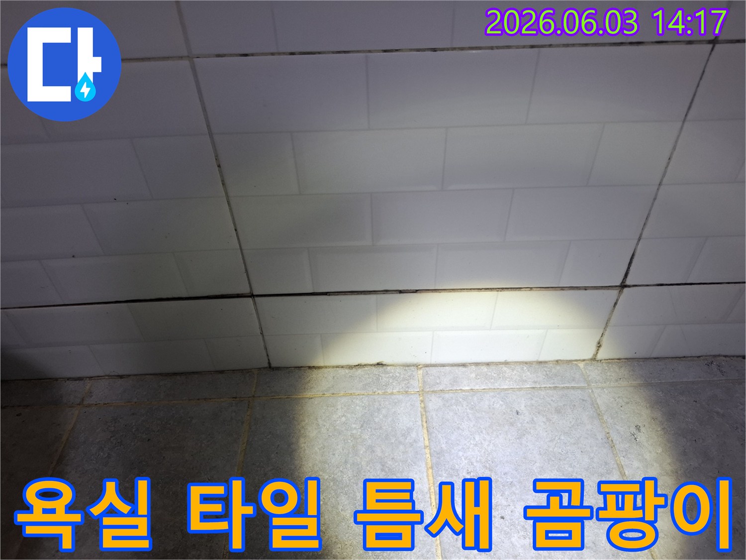 욕실 타일과-바닥 사이의-틈새에서-발견된-누수-흔적과-곰팡이-모습