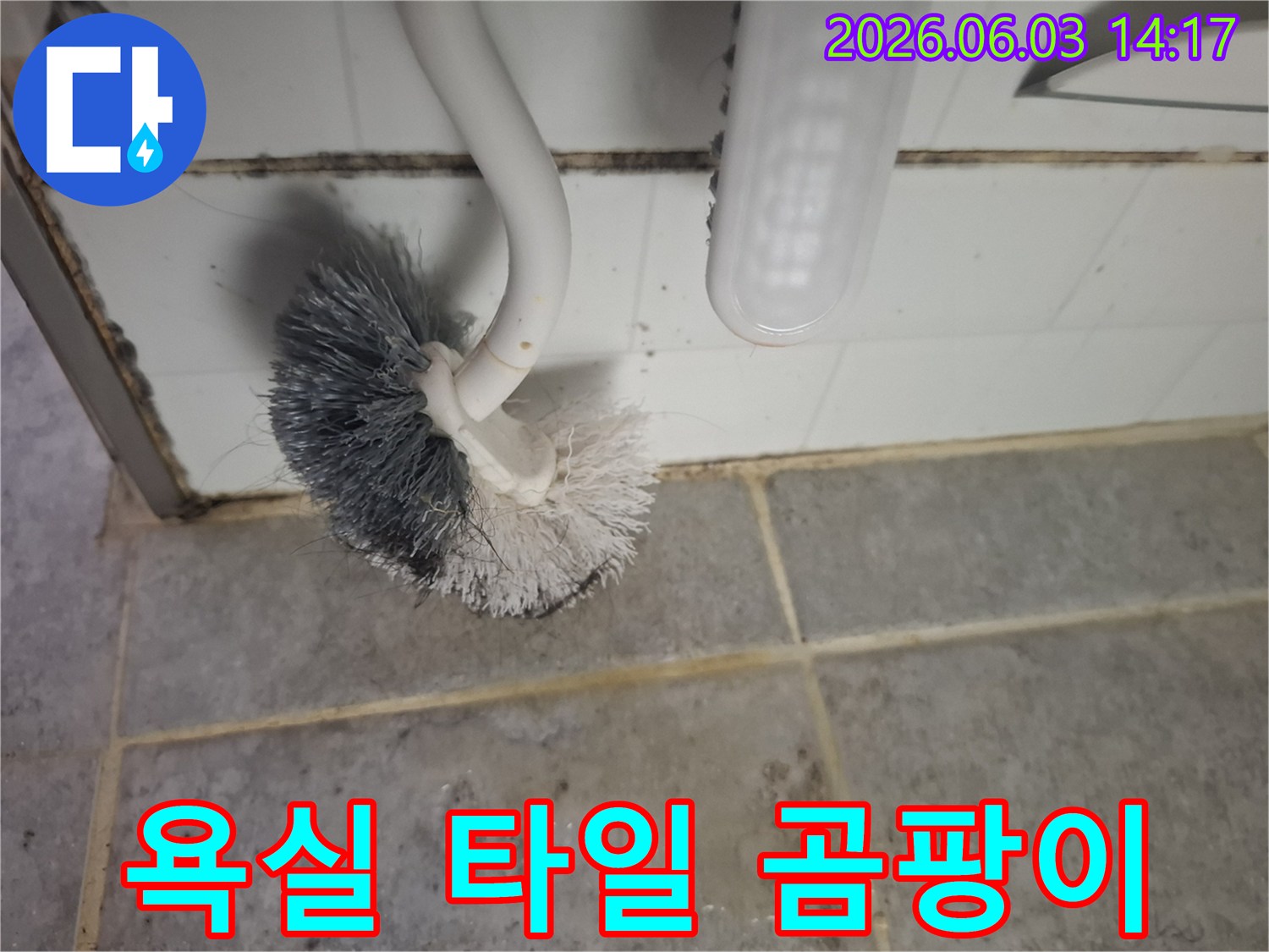 지저분한 욕실-바닥 타일과-벽면 줄눈에-생긴 곰팡이를-보여주는 사진입니다
