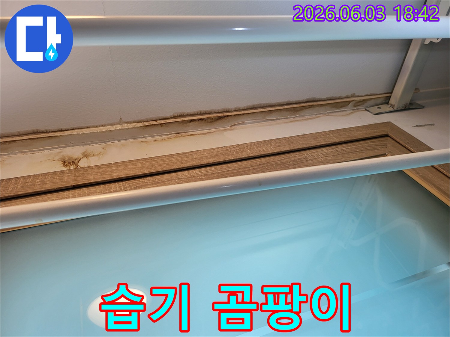 주택 천장 부근-물샘으로 인한 곰팡이 발생-정밀 탐지 전 상황