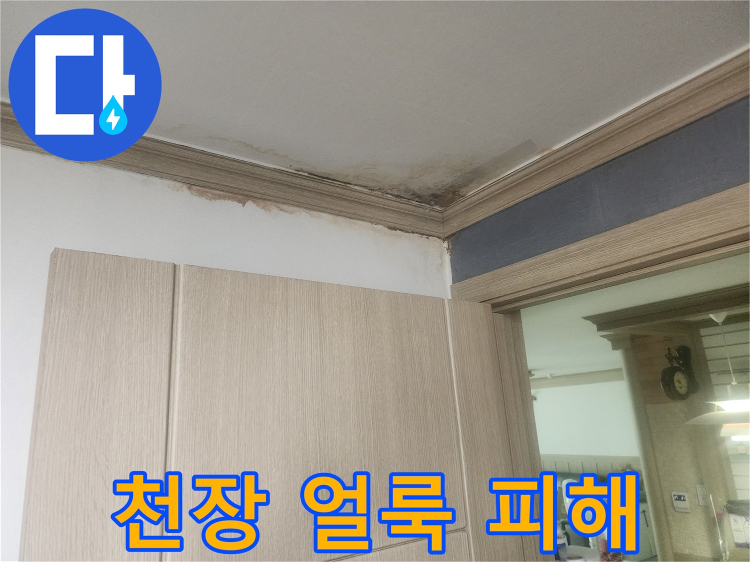 아파트-천장에서-발견된-물자국과-곰팡이로-인한-심각한-손상-모습입니다.