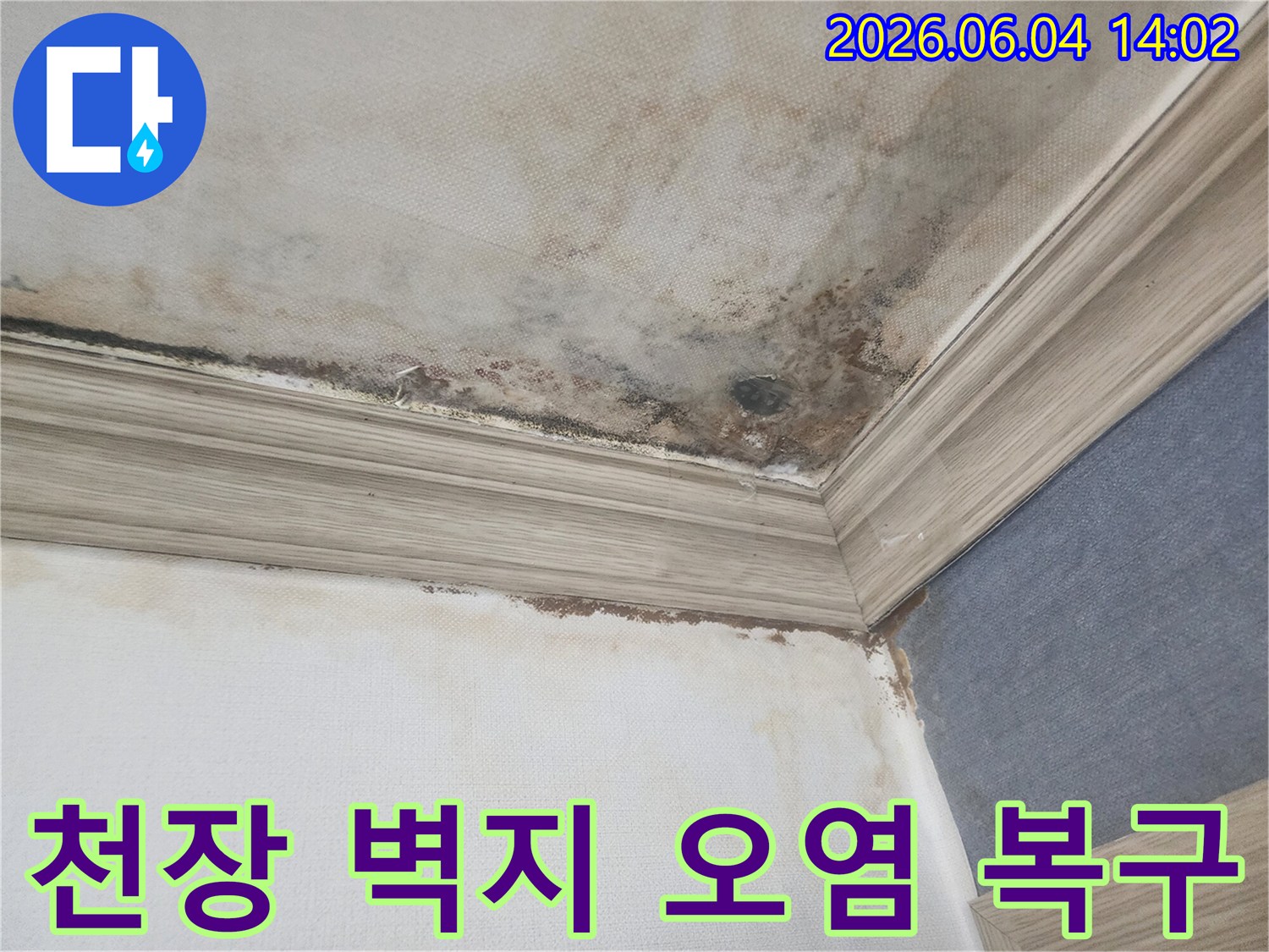 천장과 벽의 경계면에-누수로 인해 벽지가 오염되고-검은 곰팡이가 번져있는-피해 현장의 클로즈업 이미지