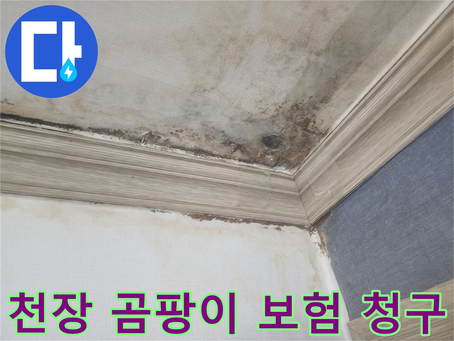 평택 아파트 천장 누수로-인해 벽에 번진 곰팡이 현장에서-누수보험 청구를 위한-서류 준비를 돕고 있습니다.