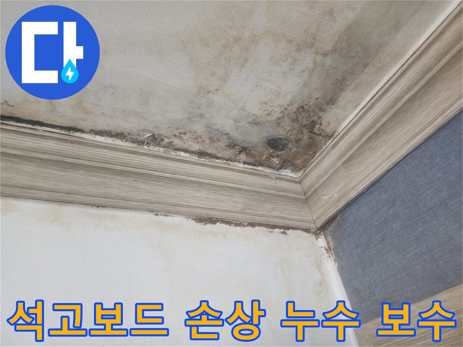 평택 아파트 천장의 석고보드가 누수로-인해 손상되고-곰팡이가 번진 현장에서-원인 파악 후 보수 공사를 진행합니다.