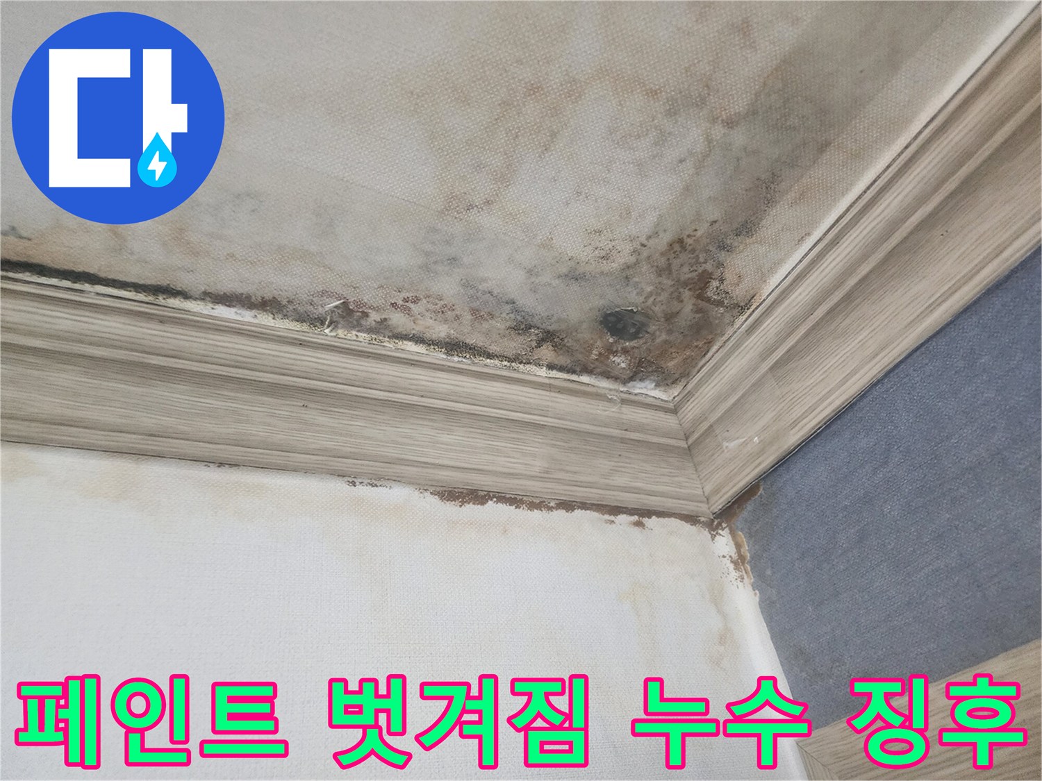 평택 아파트 천장의 페인트가 누수로-인해 벗겨지고-곰팡이가 번진 현장에서-전문가 진단이 시급합니다.