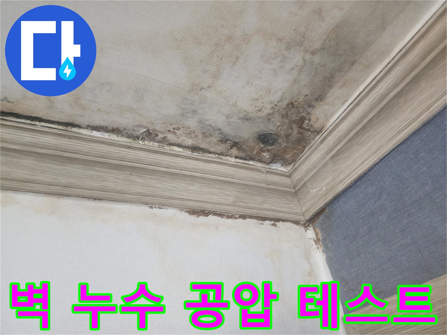 평택 주택의 벽 누수와-천장 곰팡이 현장에서-정밀 공압 테스트를 통해-배관의 문제점을 확인하고 있습니다.