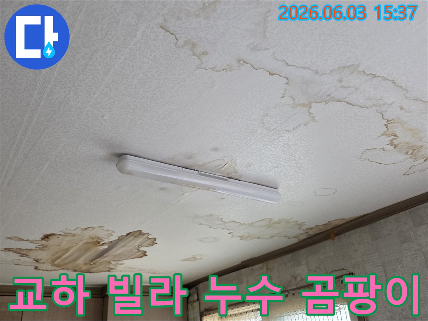 파주 교하 빌라-천장 누수로 인한 곰팡이 발생을-예방하기 위한 현장