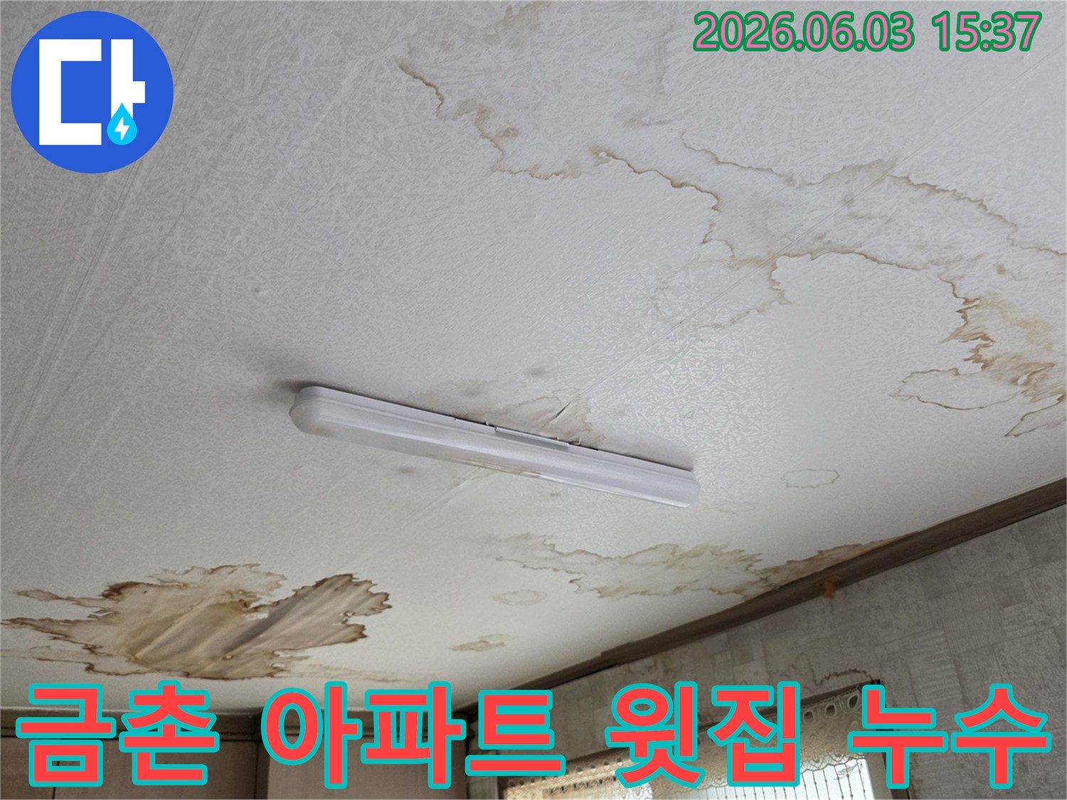 파주 금촌 아파트-윗집에서 물이 새어 발생한-천장 누수 피해 모습