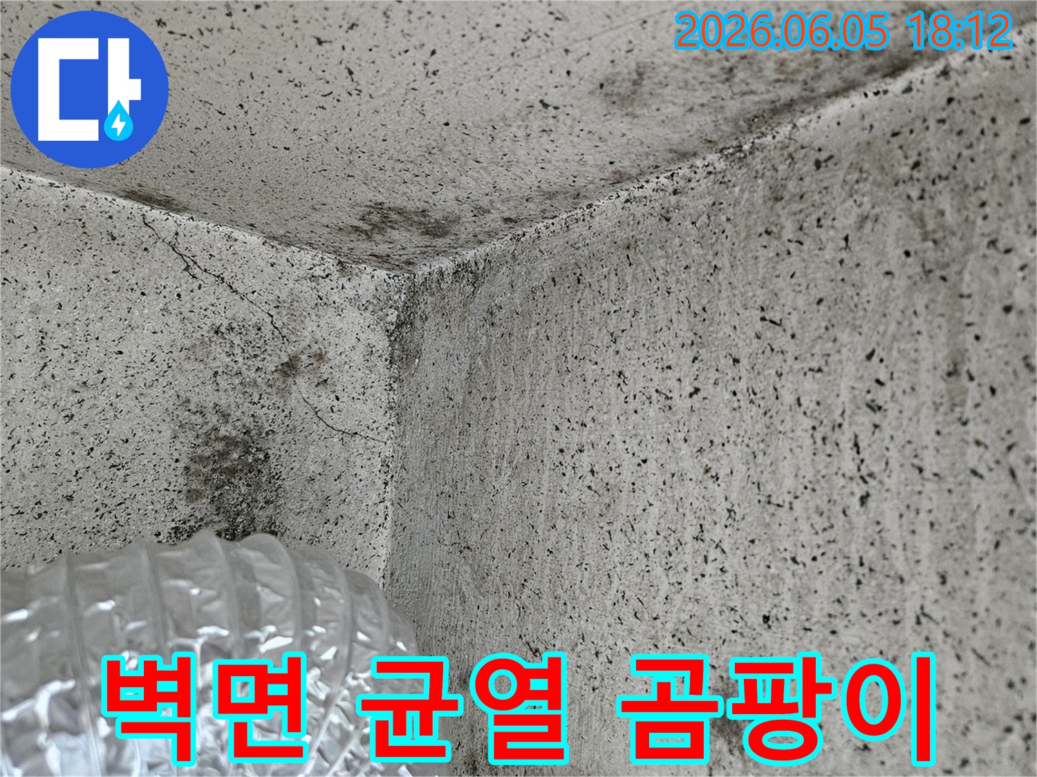 건물-내부-습기-문제로-인한-벽면-오염과-곰팡이-발생
