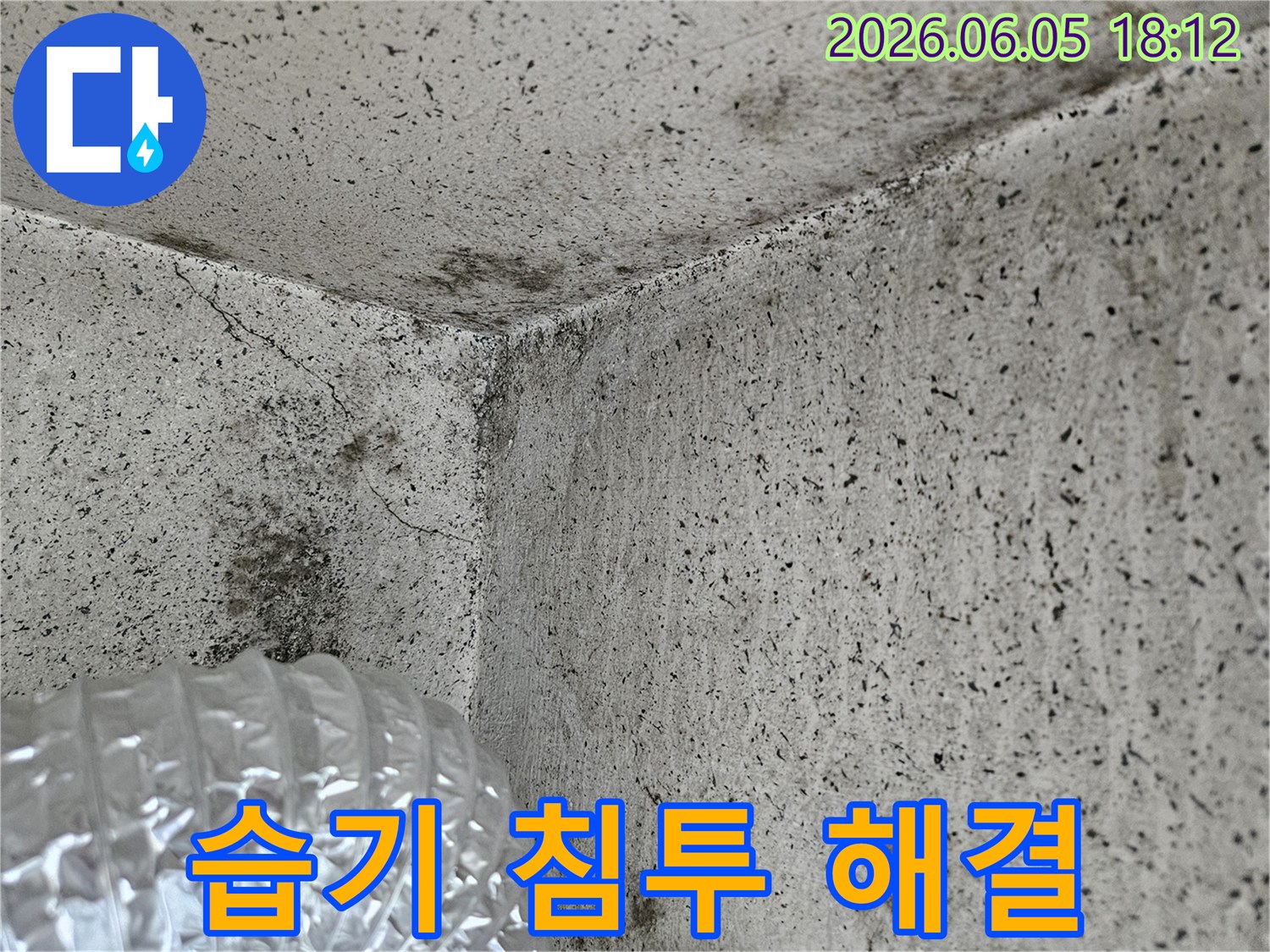 누수-전문가가-진단한-벽면-곰팡이와-균열-현장-사진