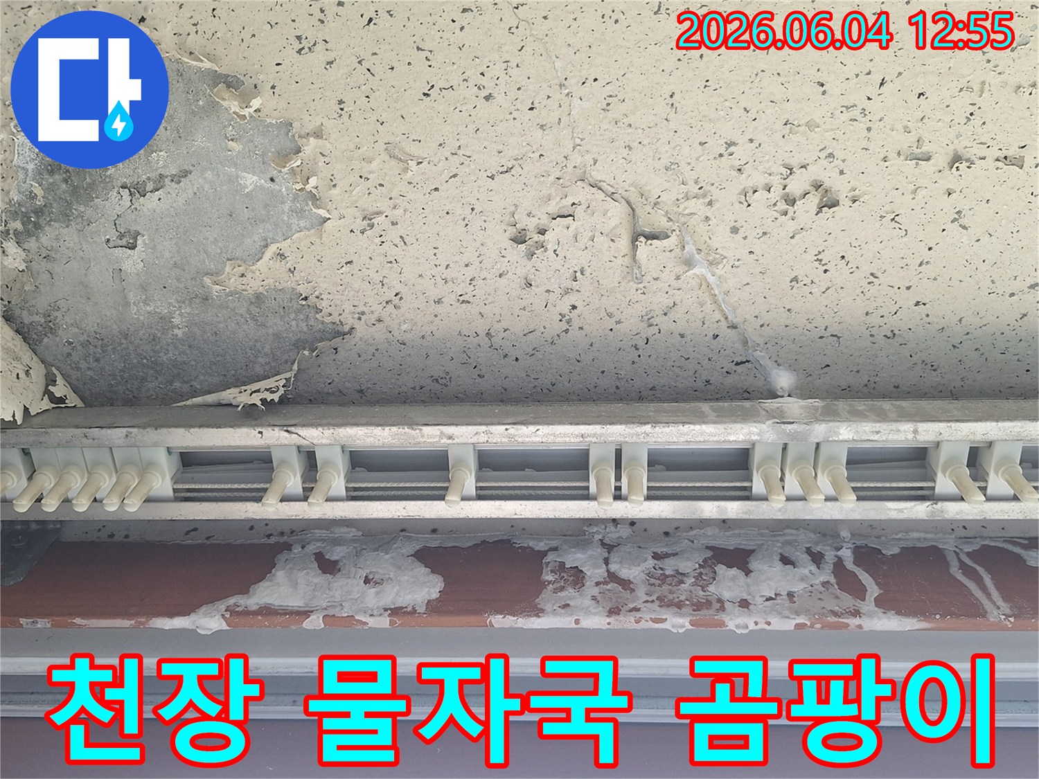 백석읍-빌라-천장에서-발견된-물자국과-곰팡이-시작-징후-건강-위협-가능성