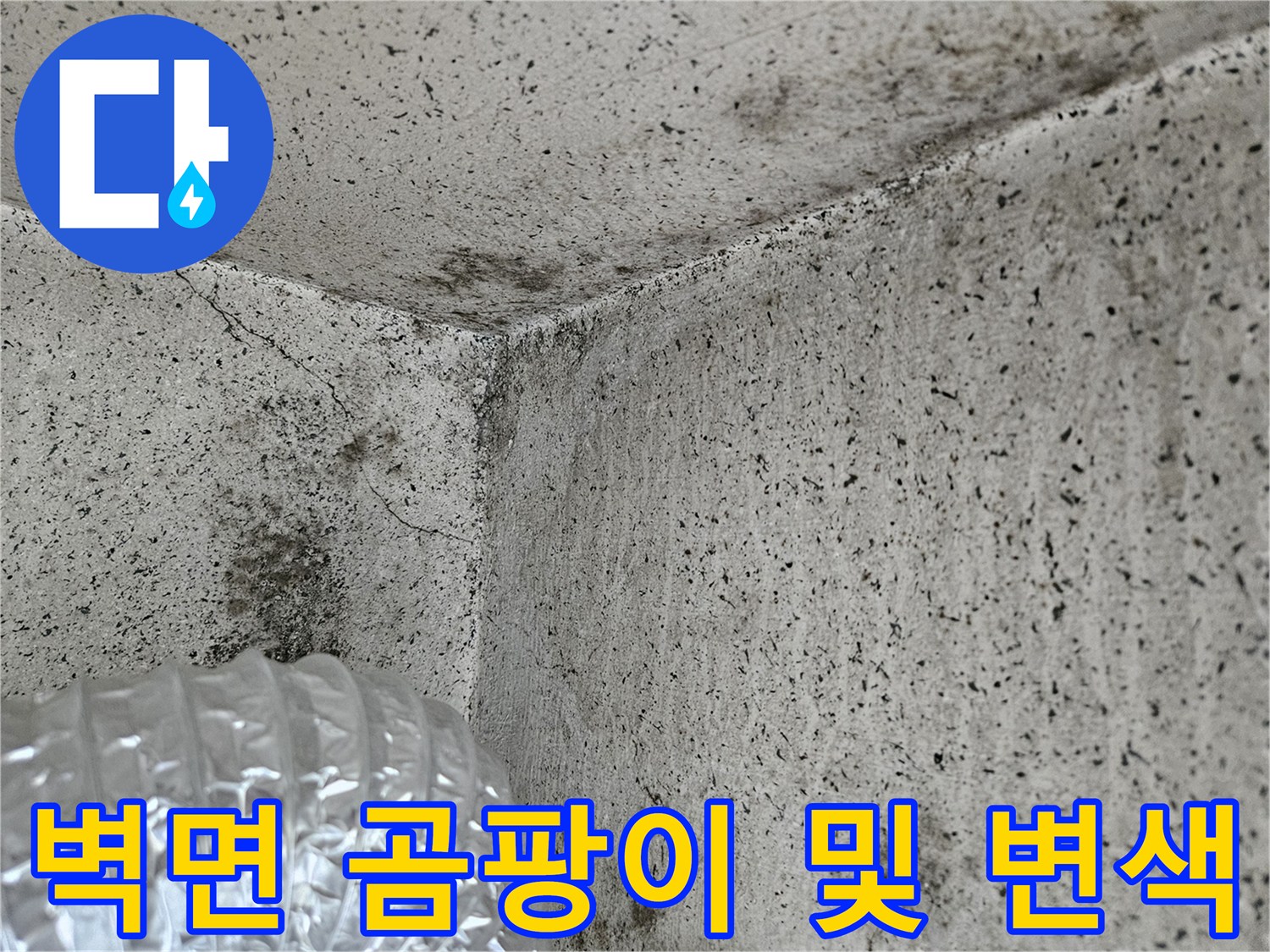 습기로 인해 검게 변색되고 곰팡이가 발생한 벽면 하단
