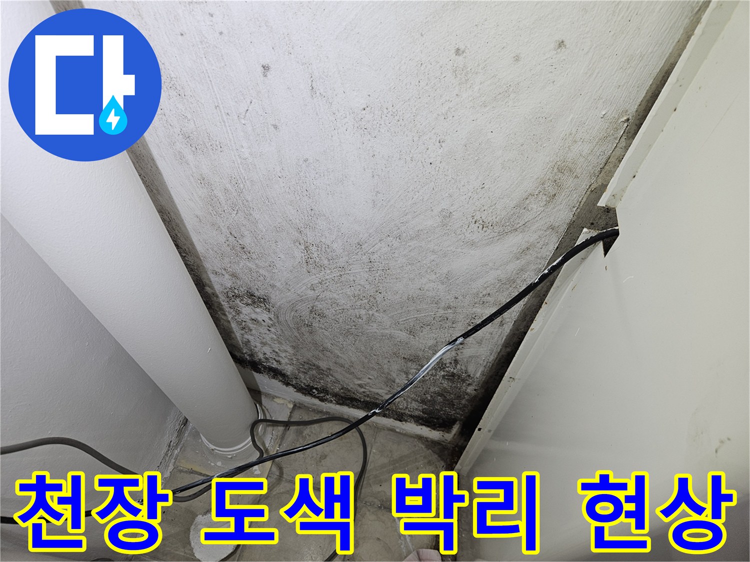 습기로 인해 도색이 벗겨지고 얼룩진 천장 부위