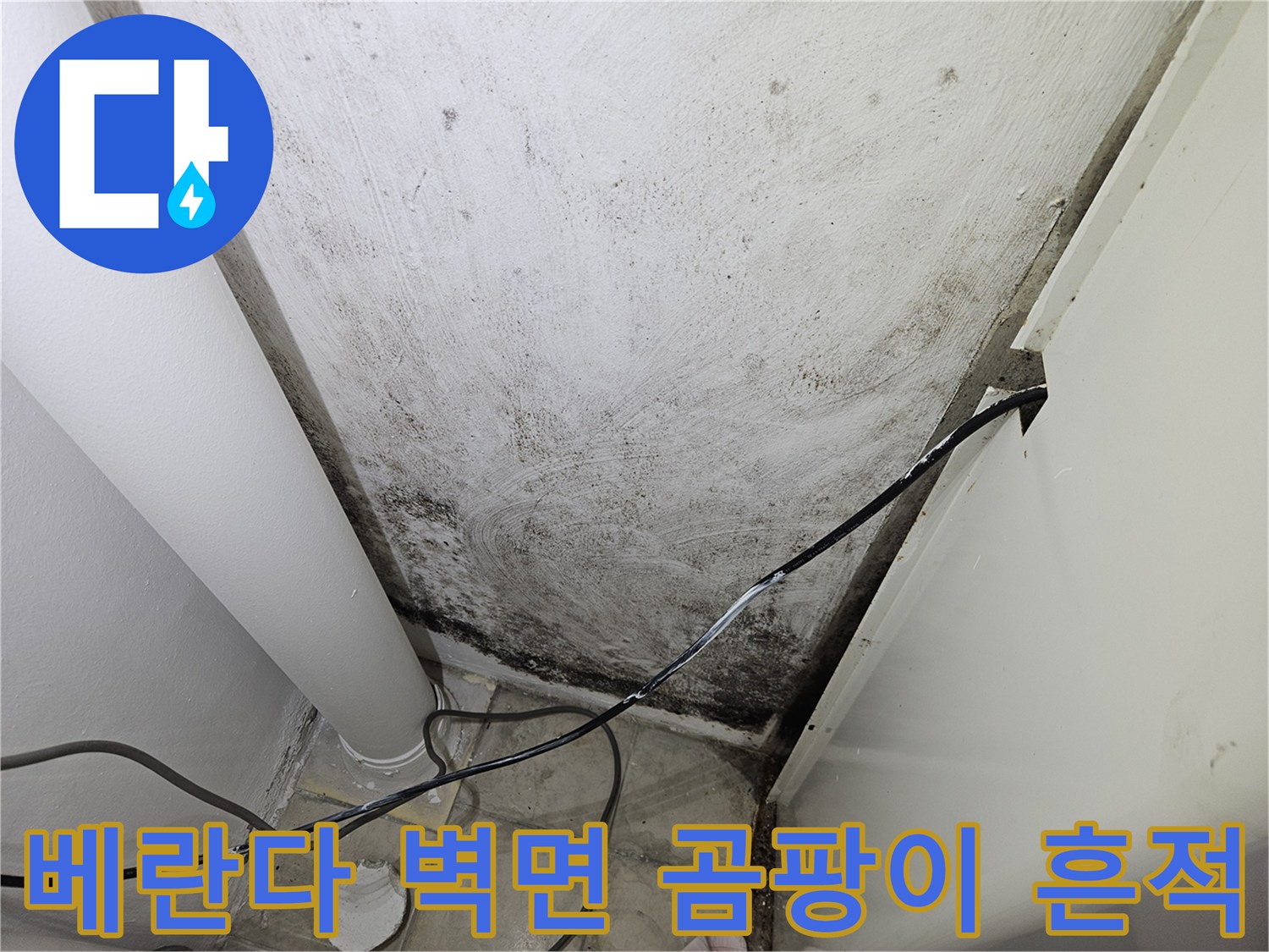 양주 아파트 베란다 벽면에 발생한 검은색 곰팡이와 습기 자국