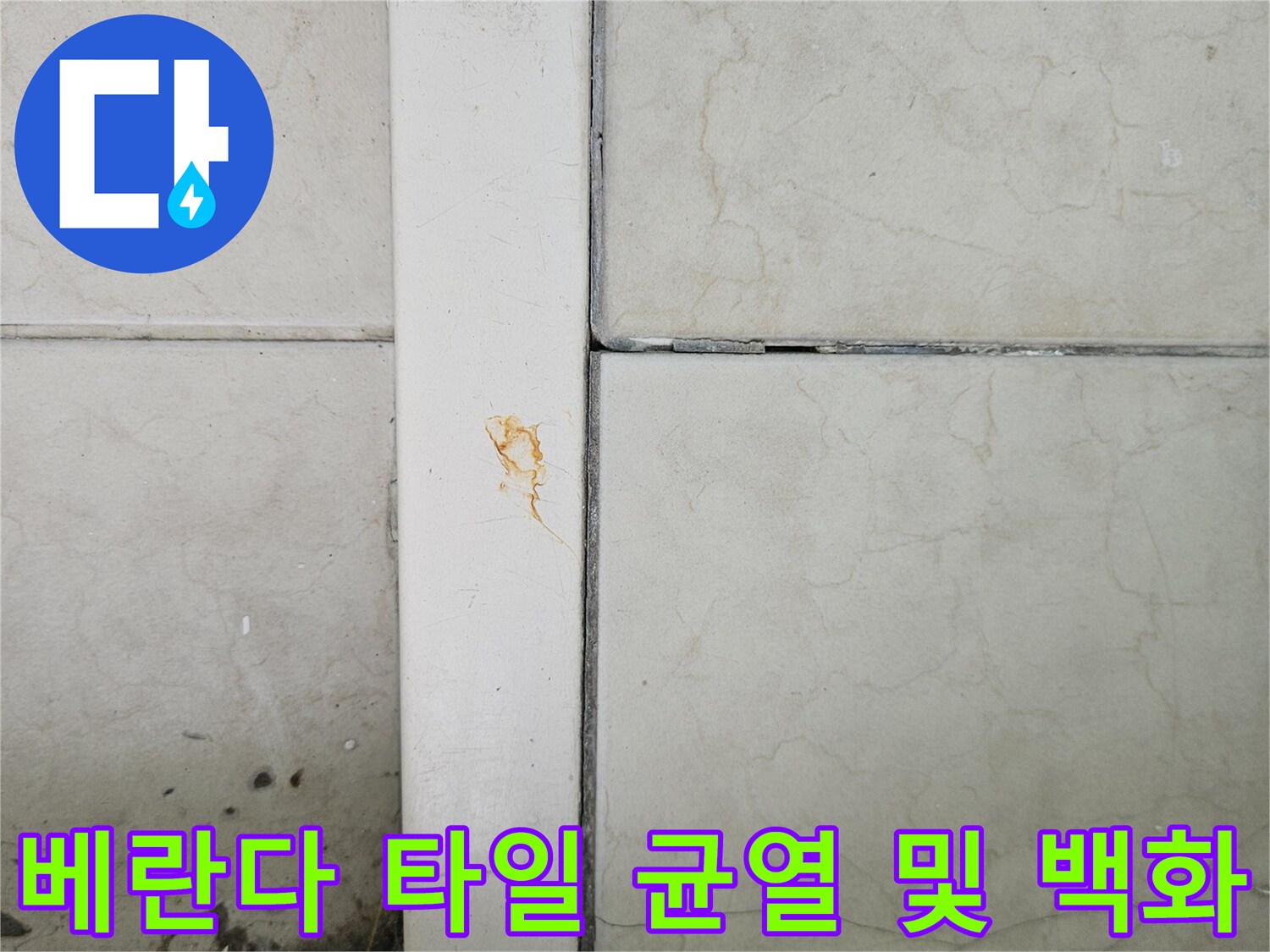 양주 아파트 베란다 타일 사이의 균열과 하얀 백화 현상 이미지