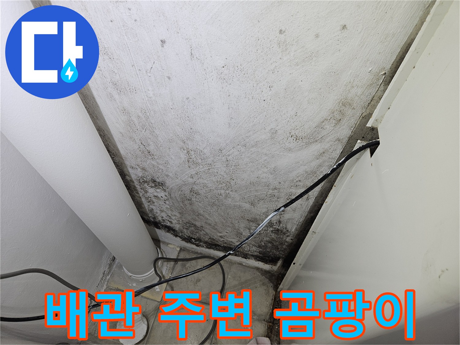 흰색 배관 옆으로 번져있는 검은색 곰팡이 오염 부위