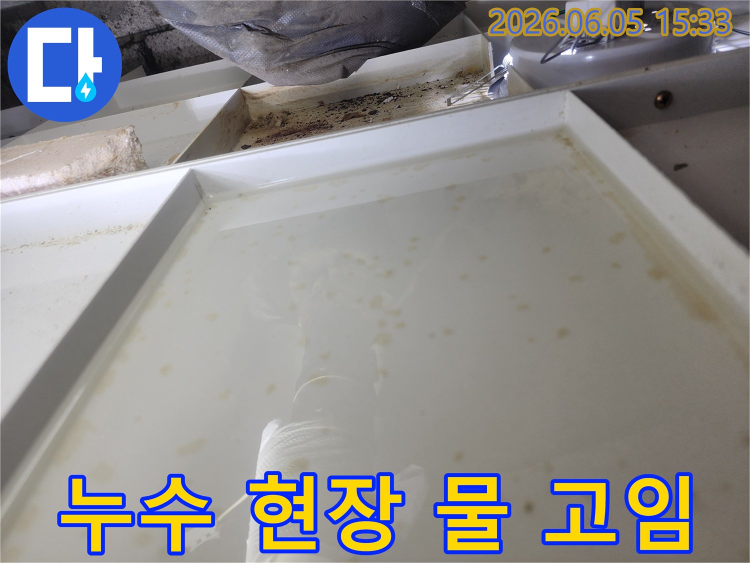 누수 발생으로 인해 물이 고인 현장-정밀 탐지를 위한 초기 단계