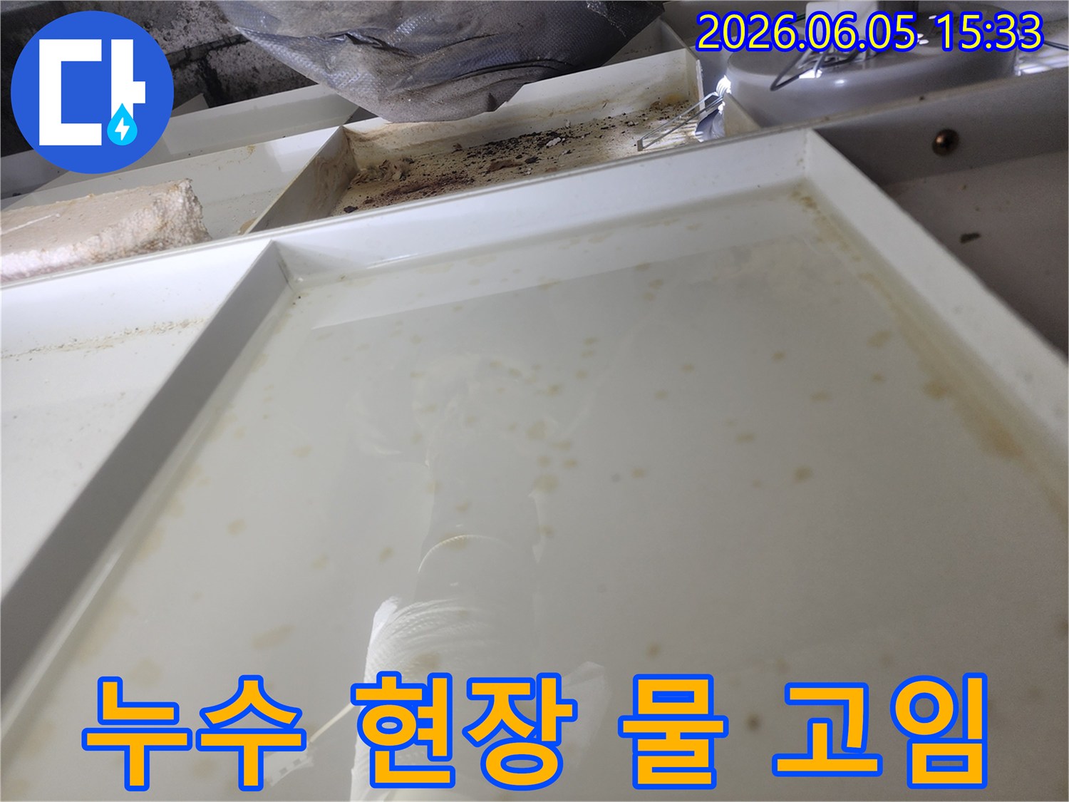 누수 발생으로 인해 물이 고인 현장-정밀 탐지를 위한 초기 단계