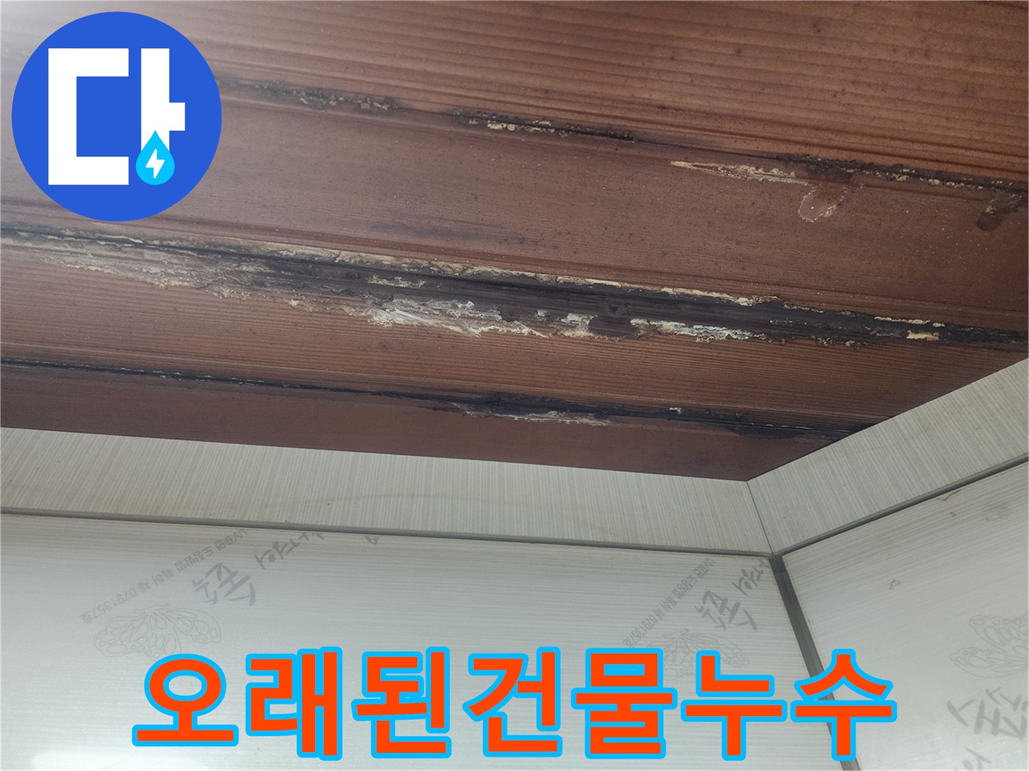 오래된-건물에서-발생한-천장-누수-피해를-전문적으로-진단하는-모습입니다.
