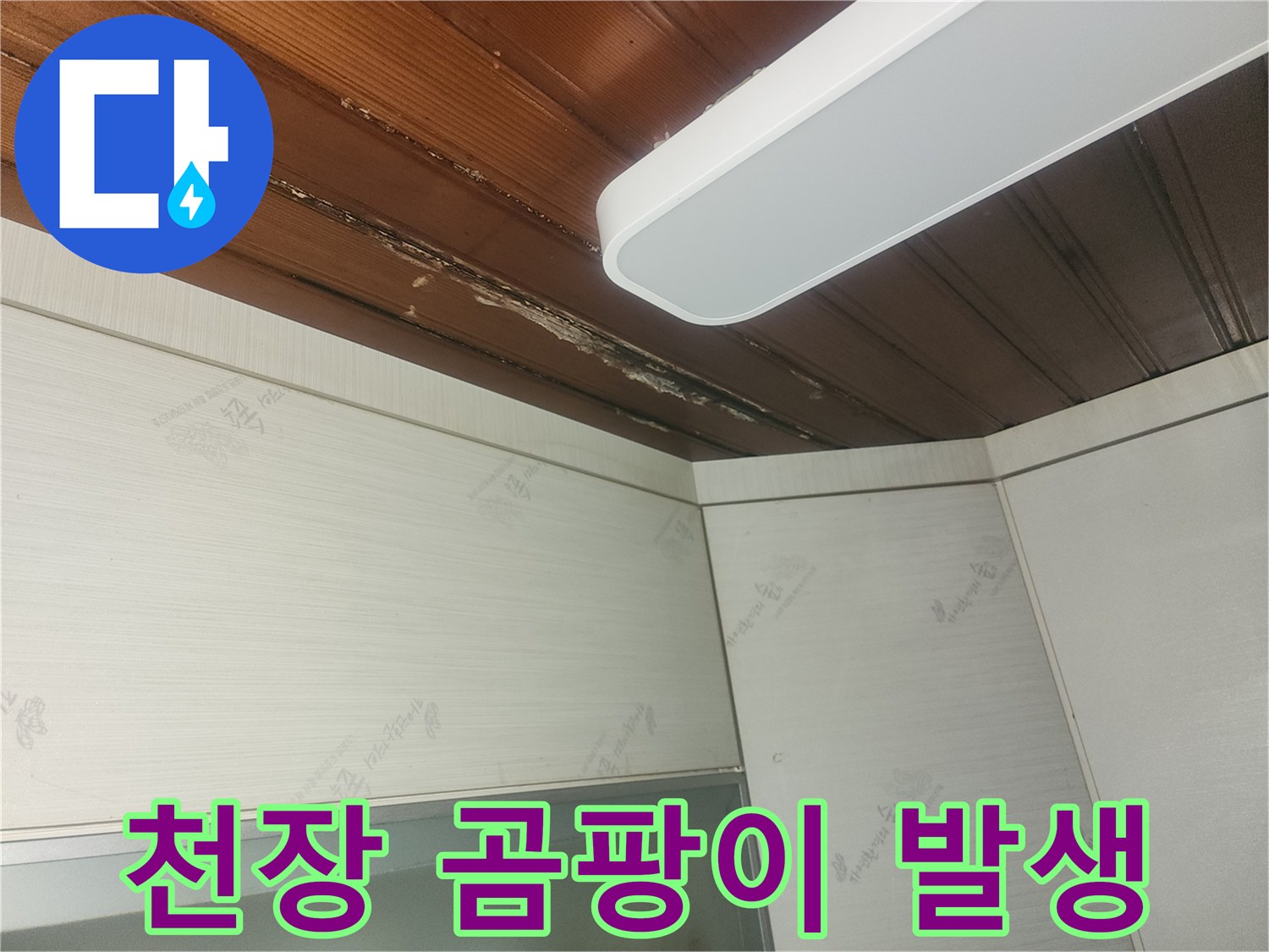 윗집에서-새는-물로-인해-천장에-생긴-물자국과-곰팡이-징후