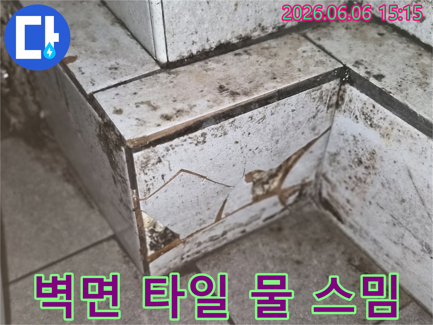 벽면 타일의 파손과-그 주변의 물 자국-곰팡이로 인한-물 스밈 현상을 보여주는 사진
