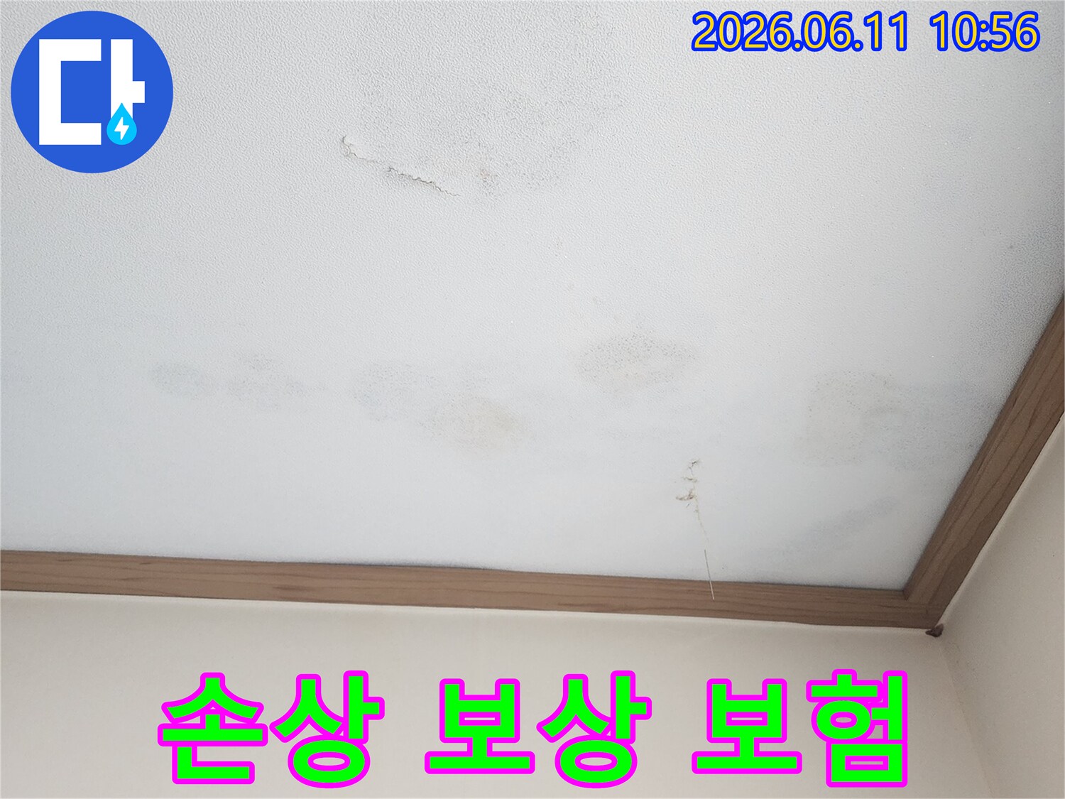 물에 젖어 손상된 벽면에 대한-보상 및 보험 처리를 위한-전문가 상담 현장입니다