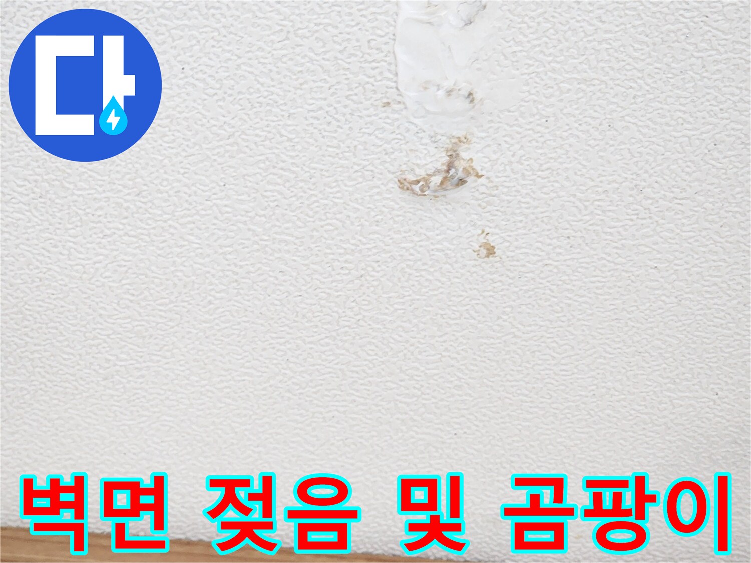 상가건물-벽면의-젖은-흔적과-곰팡이-발생-상황을-조사하는-모습