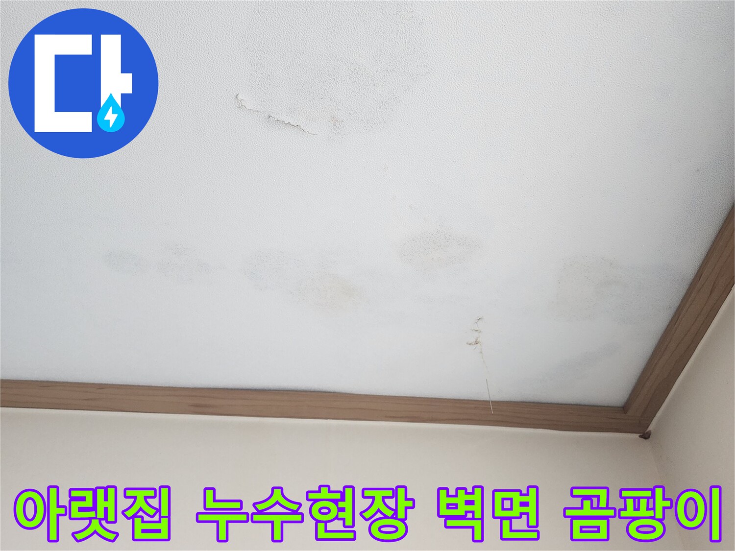 아랫집 천장 벽면에 발생한 누수 흔적-곰팡이와 벽지 손상으로-정확한 누수 원인 탐지가 필요한 상황입니다.