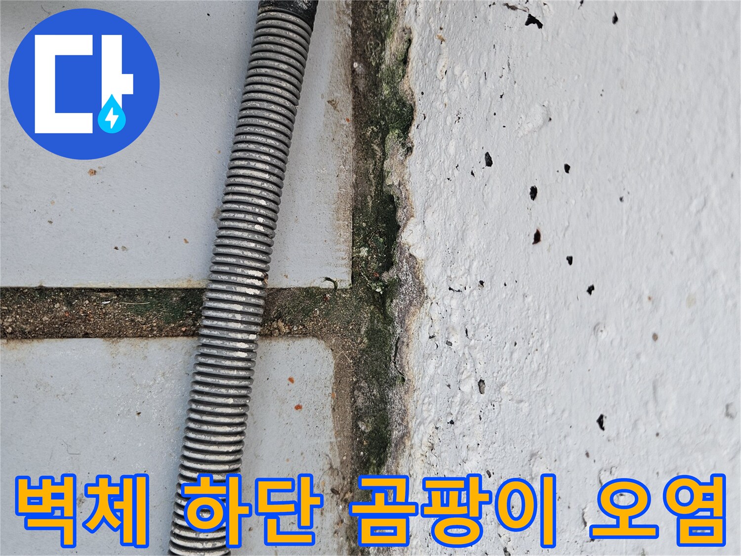 습기로 인해-변색되고 부식된 벽면 하단부 사진