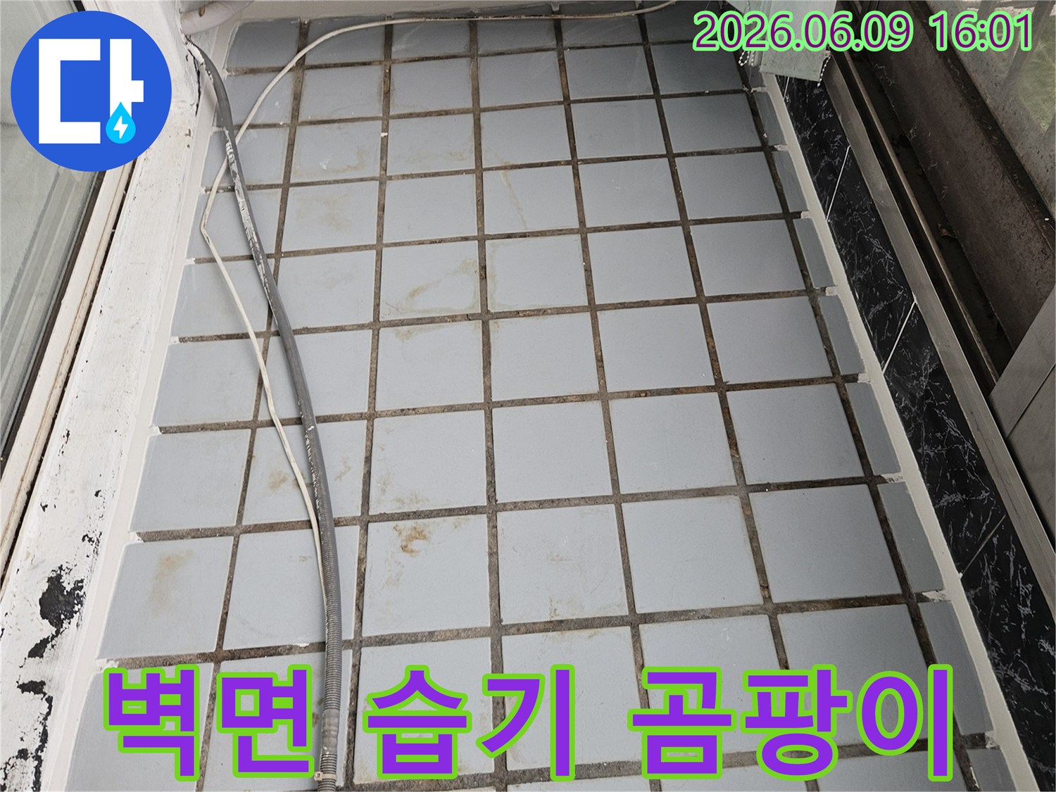 의정부-호원동-한신아파트-베란다-벽면에서-발견된-누수로-인한-습기와-곰팡이-발생-현장