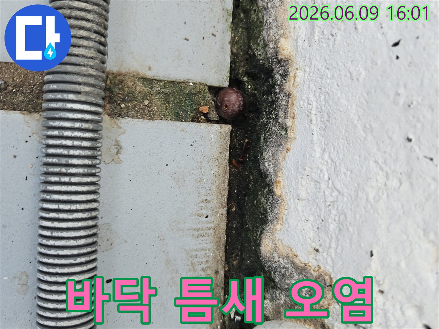 콘크리트 바닥의 틈새에 발생한 오염과-작은 이물질-그리고 주변의 낡은 배관을 보여주는 누수 현장 이미지