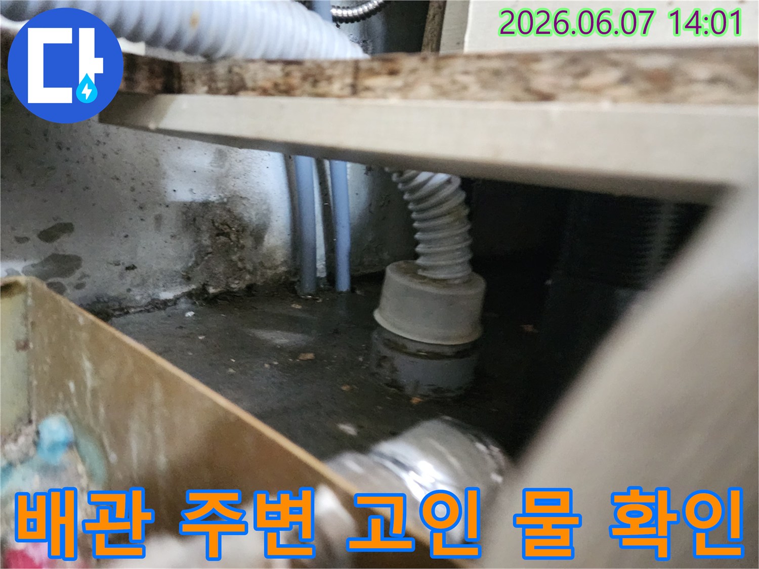 하수구 배관 주위에 슬러지와 섞인 역류수가 고여 있는 상태입니다.