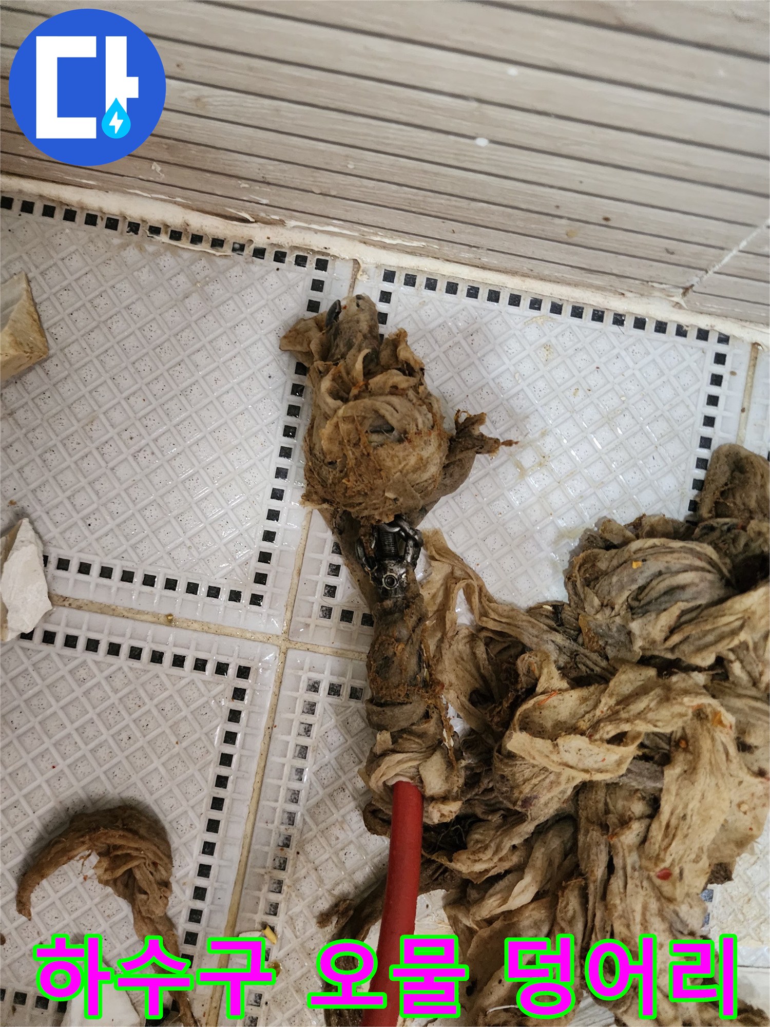 배수관을 막고 있던 머리카락과 기름때가 섞인 슬러지