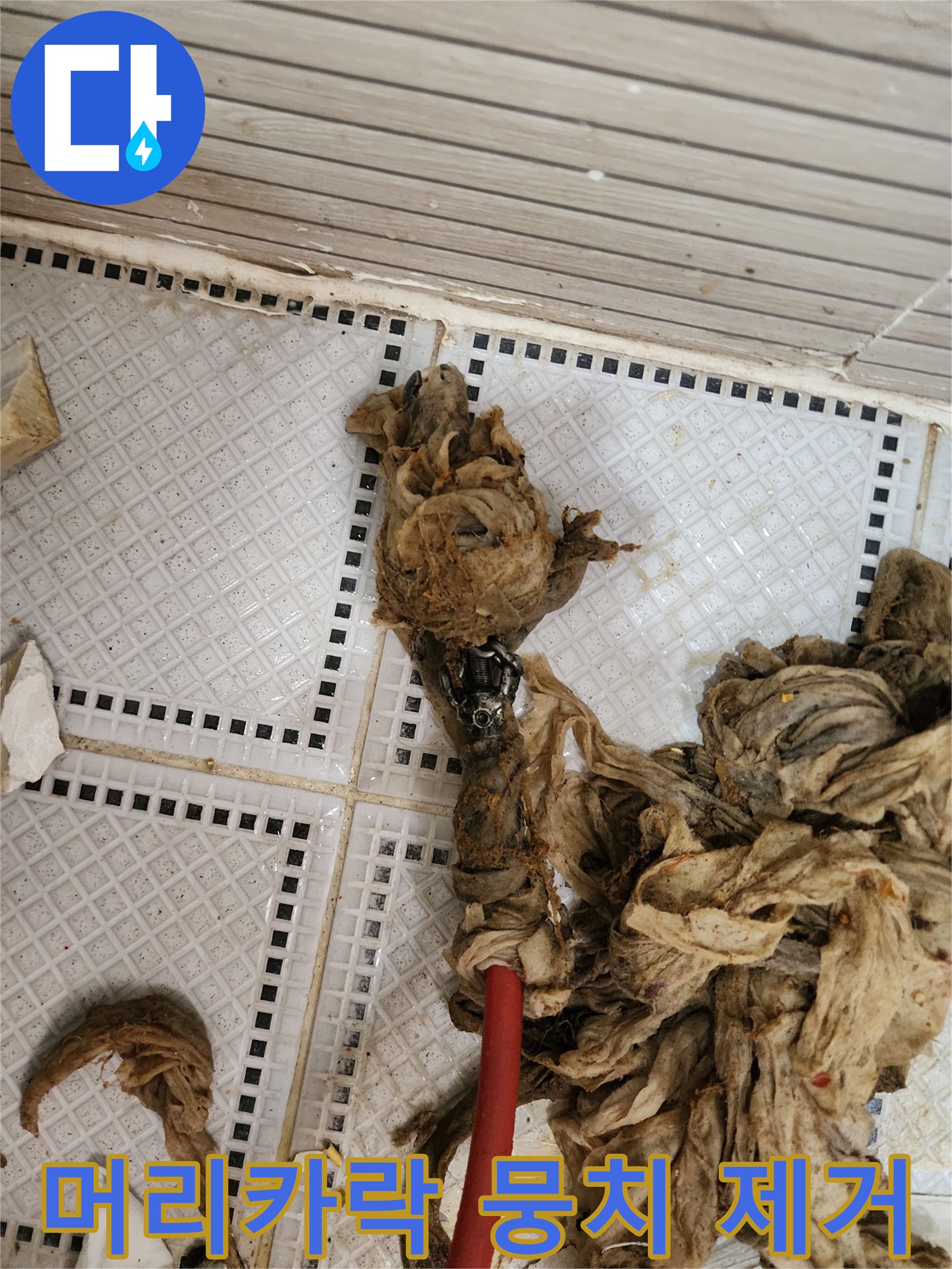 하수구 배관에서 나온 머리카락과 섬유 찌꺼기 더미