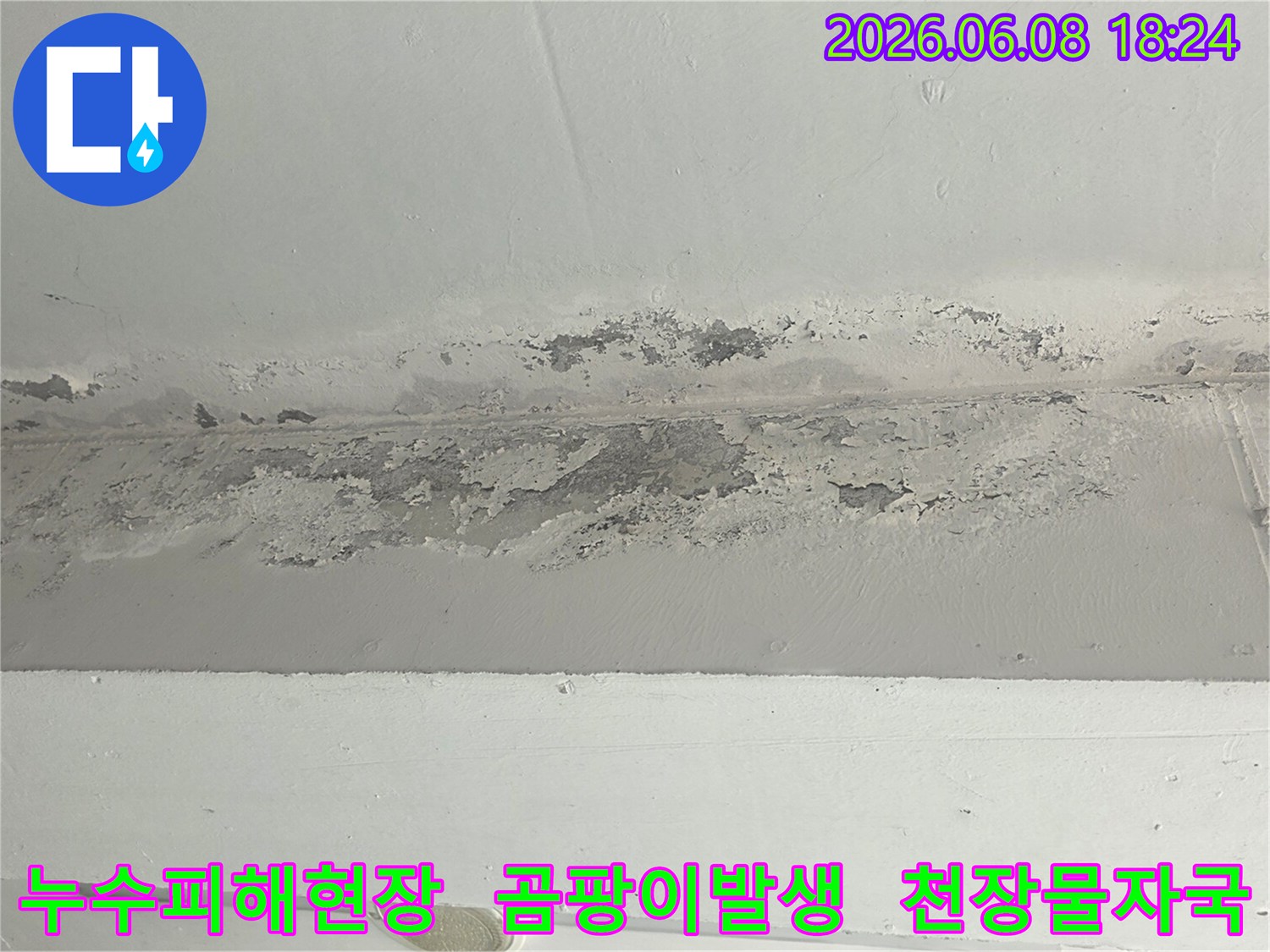 물에-젖어-곰팡이가-피어오른-천장의-상태를-보여주는-이미지입니다.