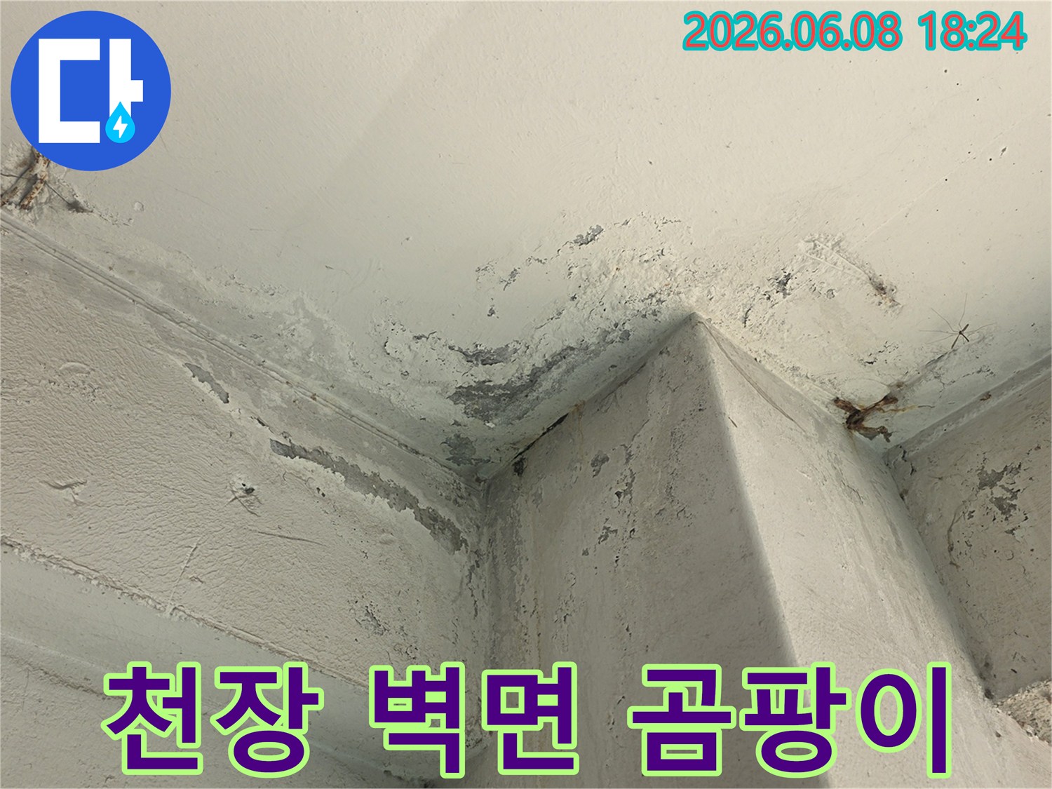 천장-모서리-부분의-누수로-인한-곰팡이-발생과-도배-손상입니다