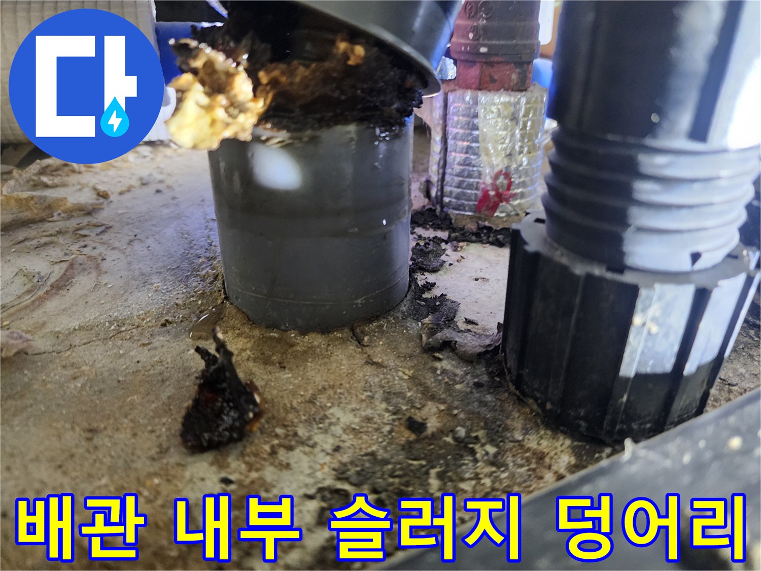 싱크대-하수구-배관-입구에-고여있는-노란색-기름-슬러지-덩어리