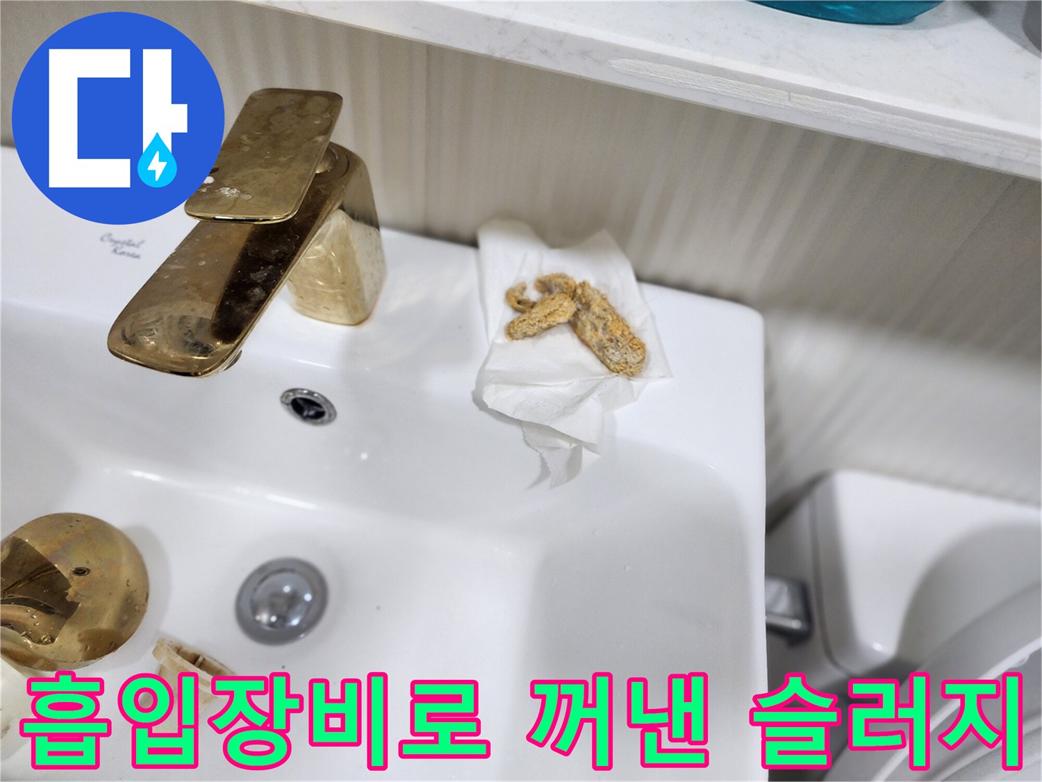석션 장비를 통해 배출된 화장실 배관 내부의 오물 덩어리