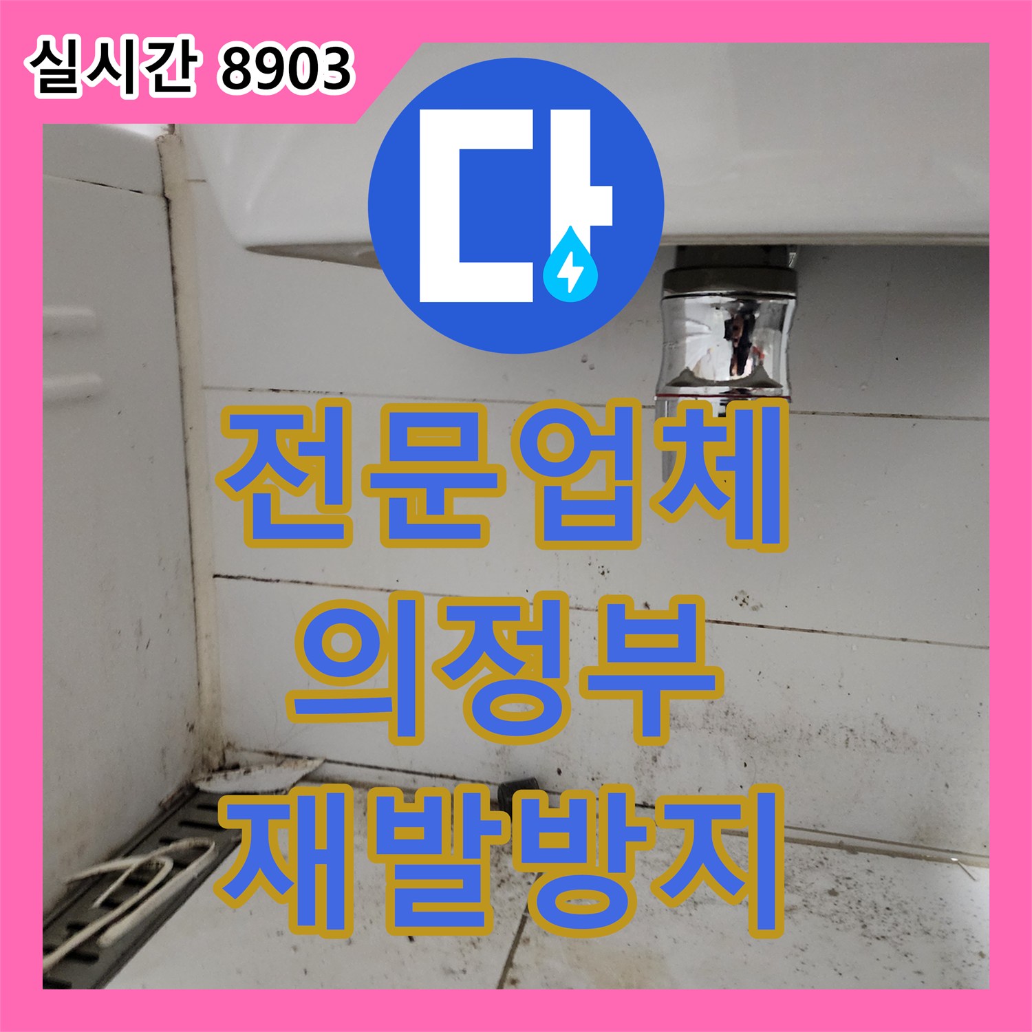 누수탐지전문업체, 누수 피해를 최소화하기 위한 신속한 대처 방안과 전문적인 보수, 의정부시