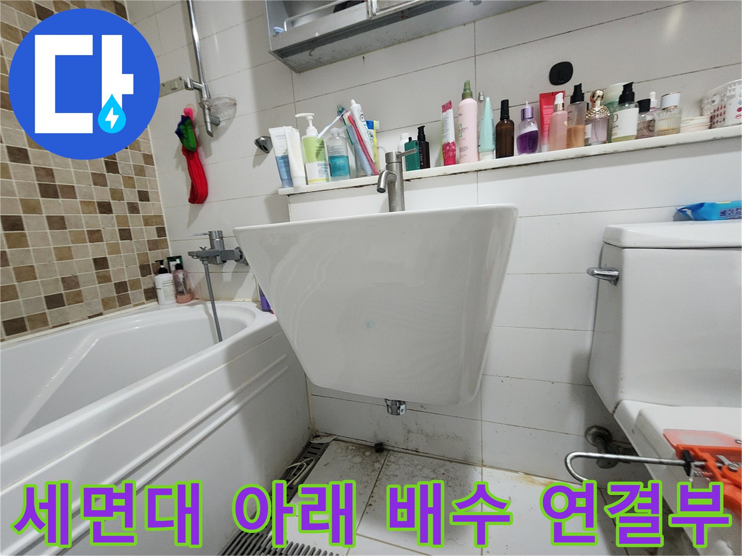 양주 고읍동 화장실 - 세면대 하단 배관과 바닥 배수구 주변 상태입니다.