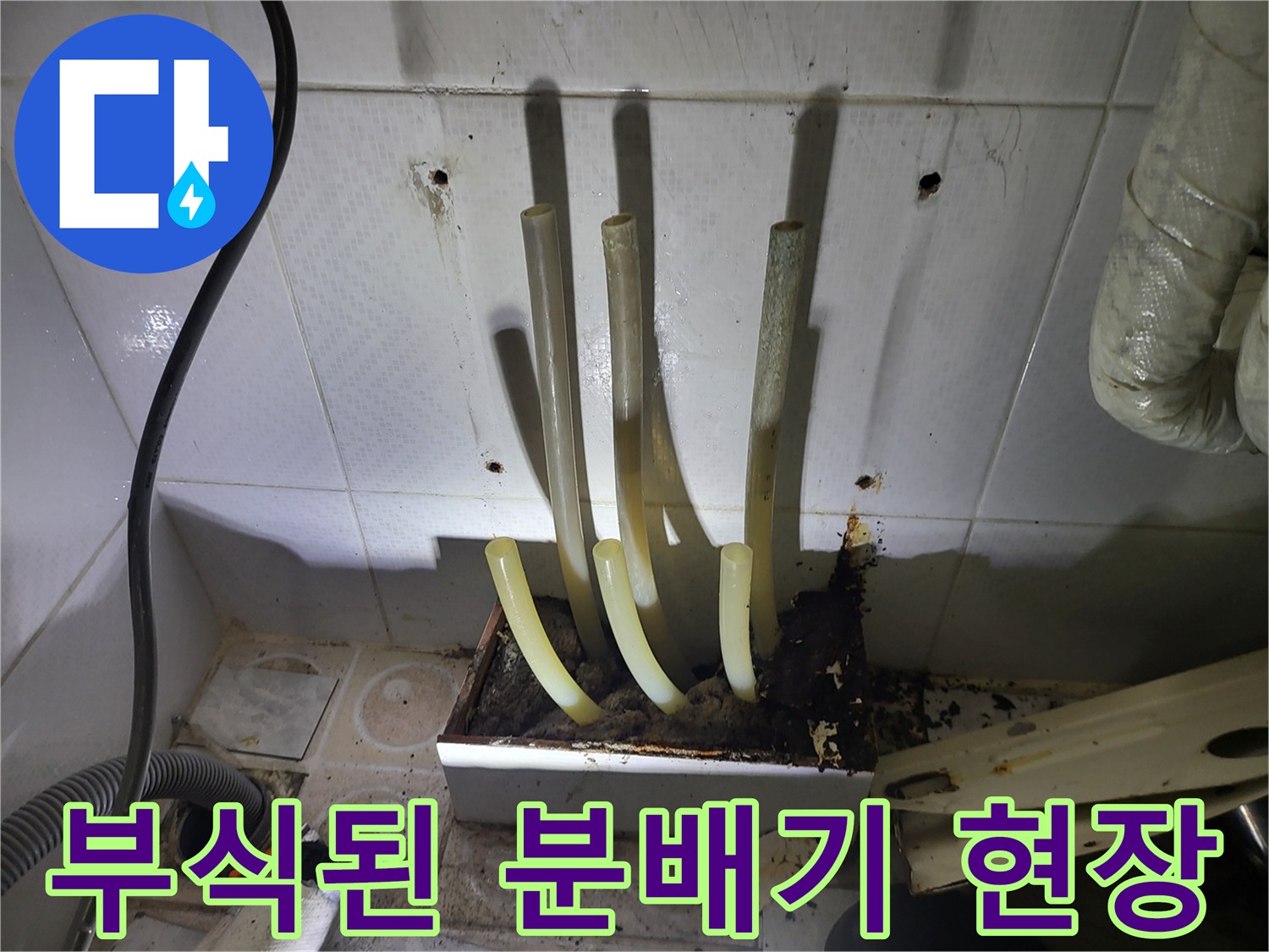 송파구-보일러실-분배기-주변의-심한-부식과-백화현상